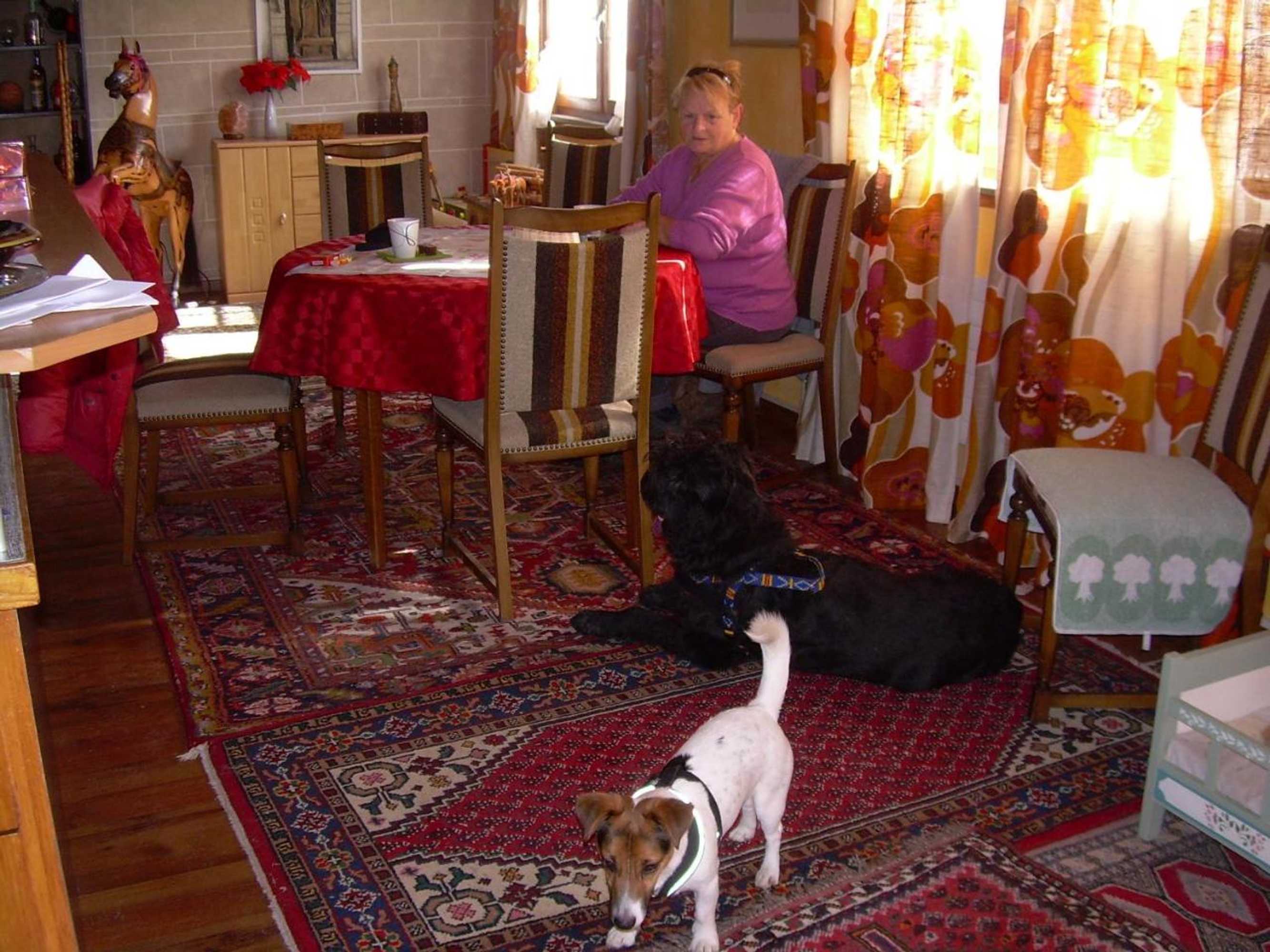 Gift card for Wohlfühloase Für Mensch Und Hund