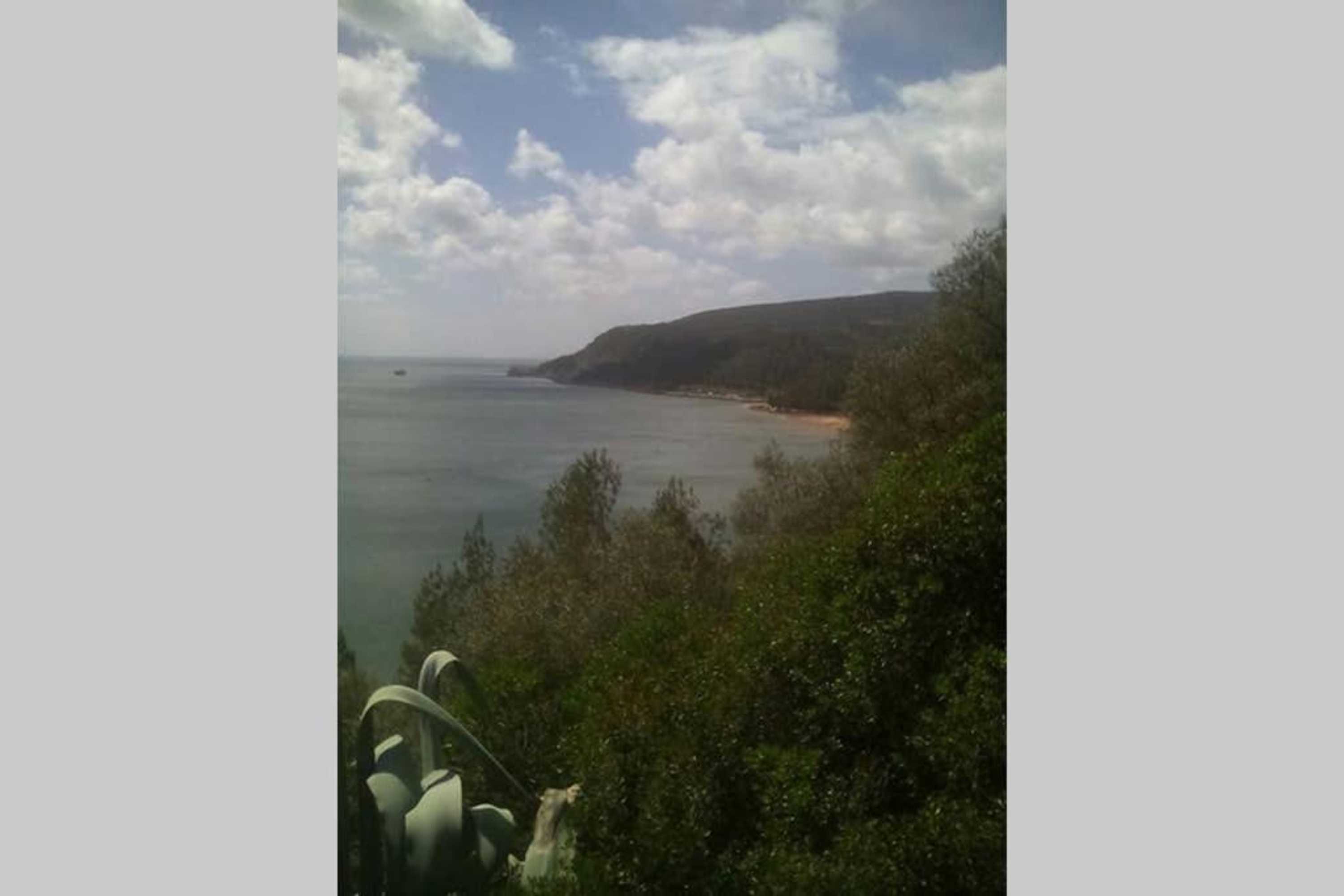 Gift card for Páteo da Memória Casa do Pintor