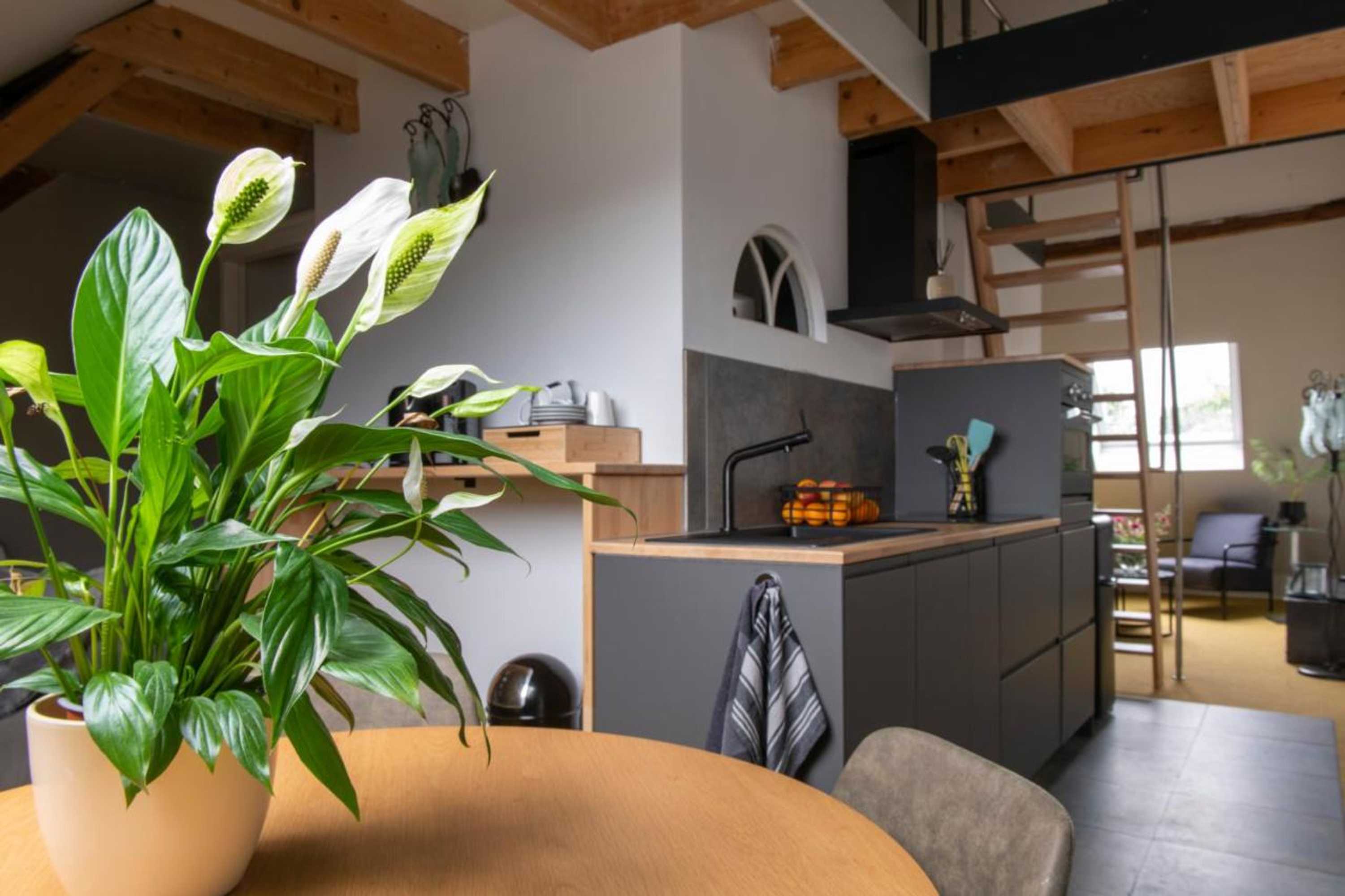 Gift card for B&b Reveille