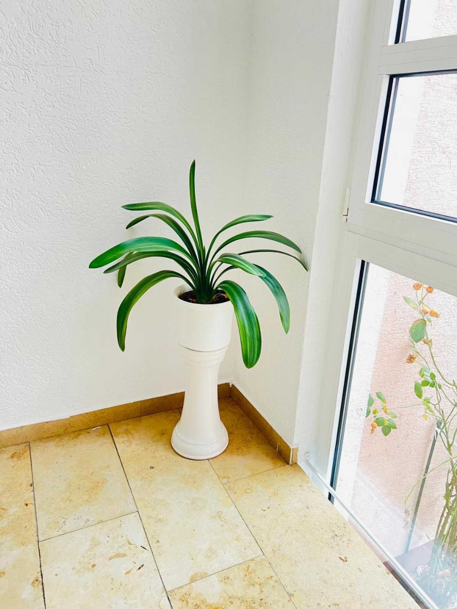 Gift card for Hotel Weller Kahl am Main