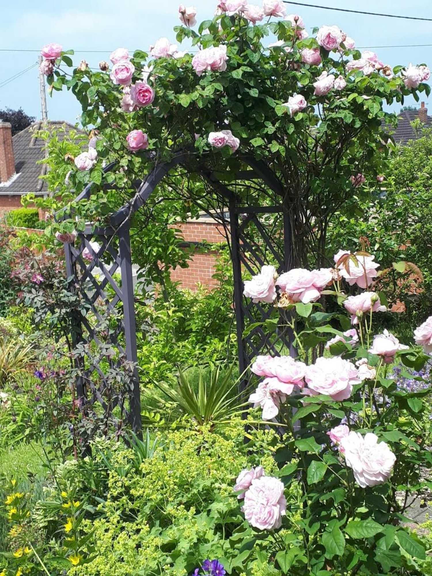 Gift card for Santi Bhavana Bed & Breakfast