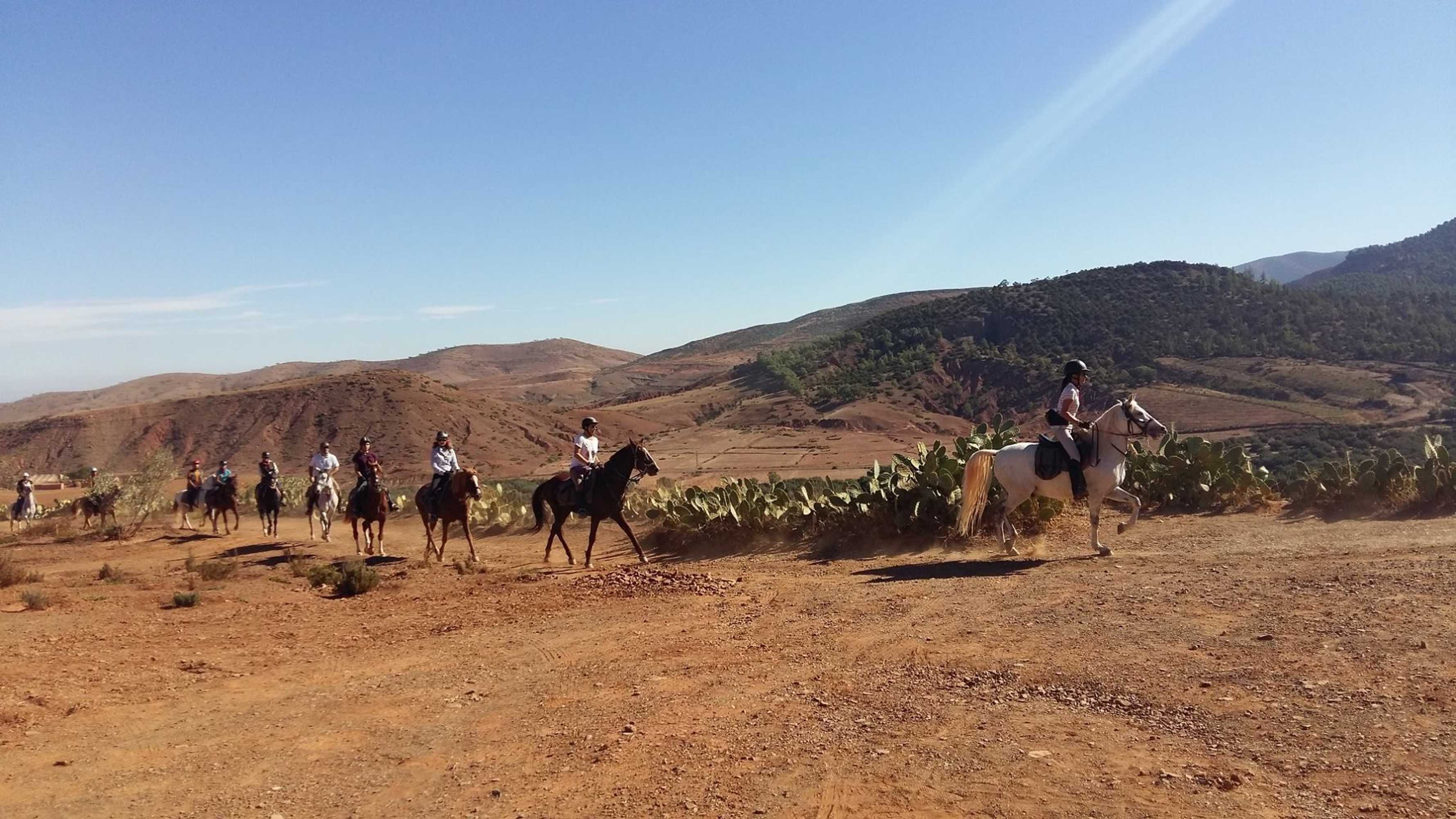 Gift card for Le Domaine D'amanar Gift card for Le Domaine D'amanar