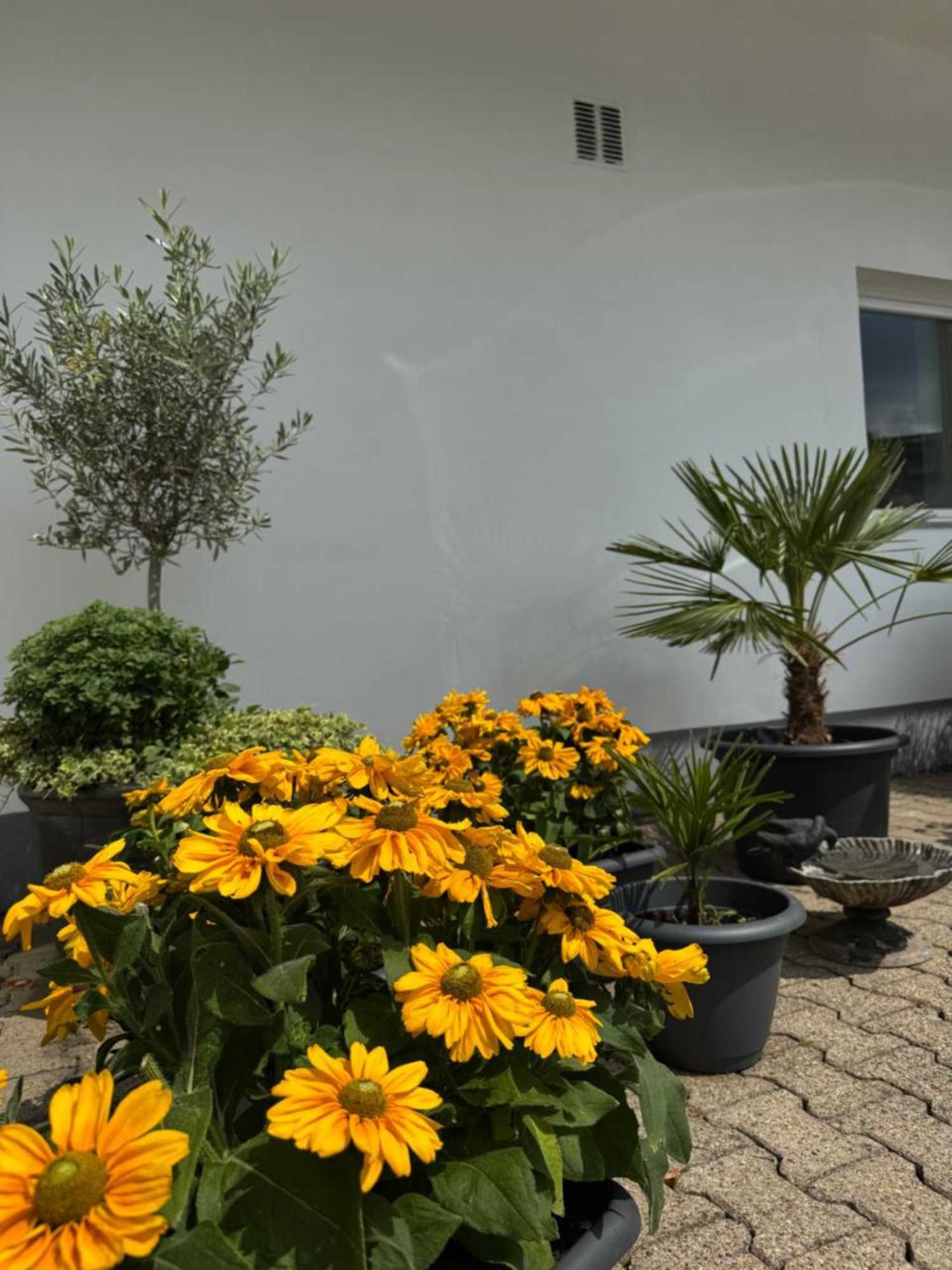 Gift card for Hotel Zur Post