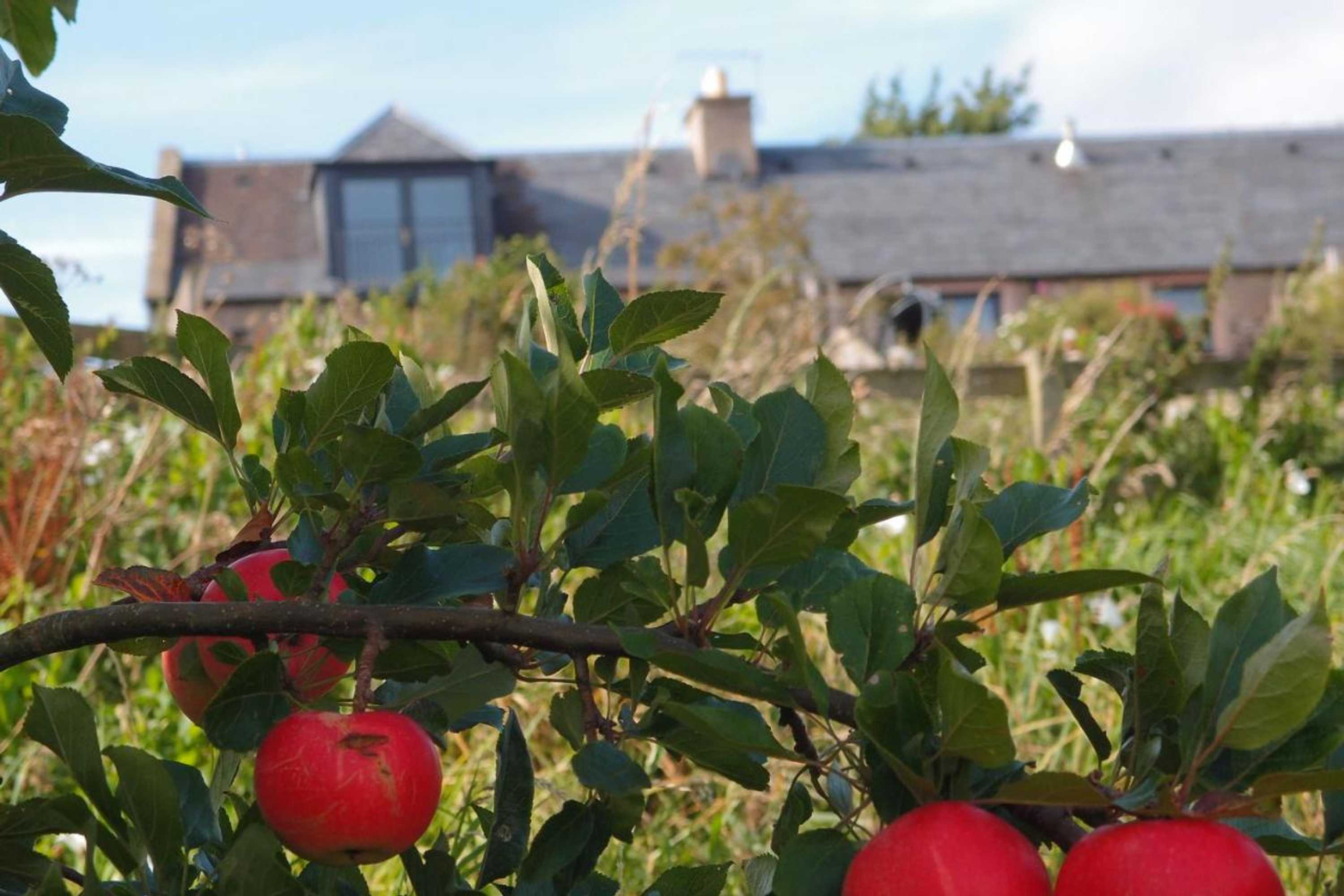 Gift card for Cocklekitty Cottage