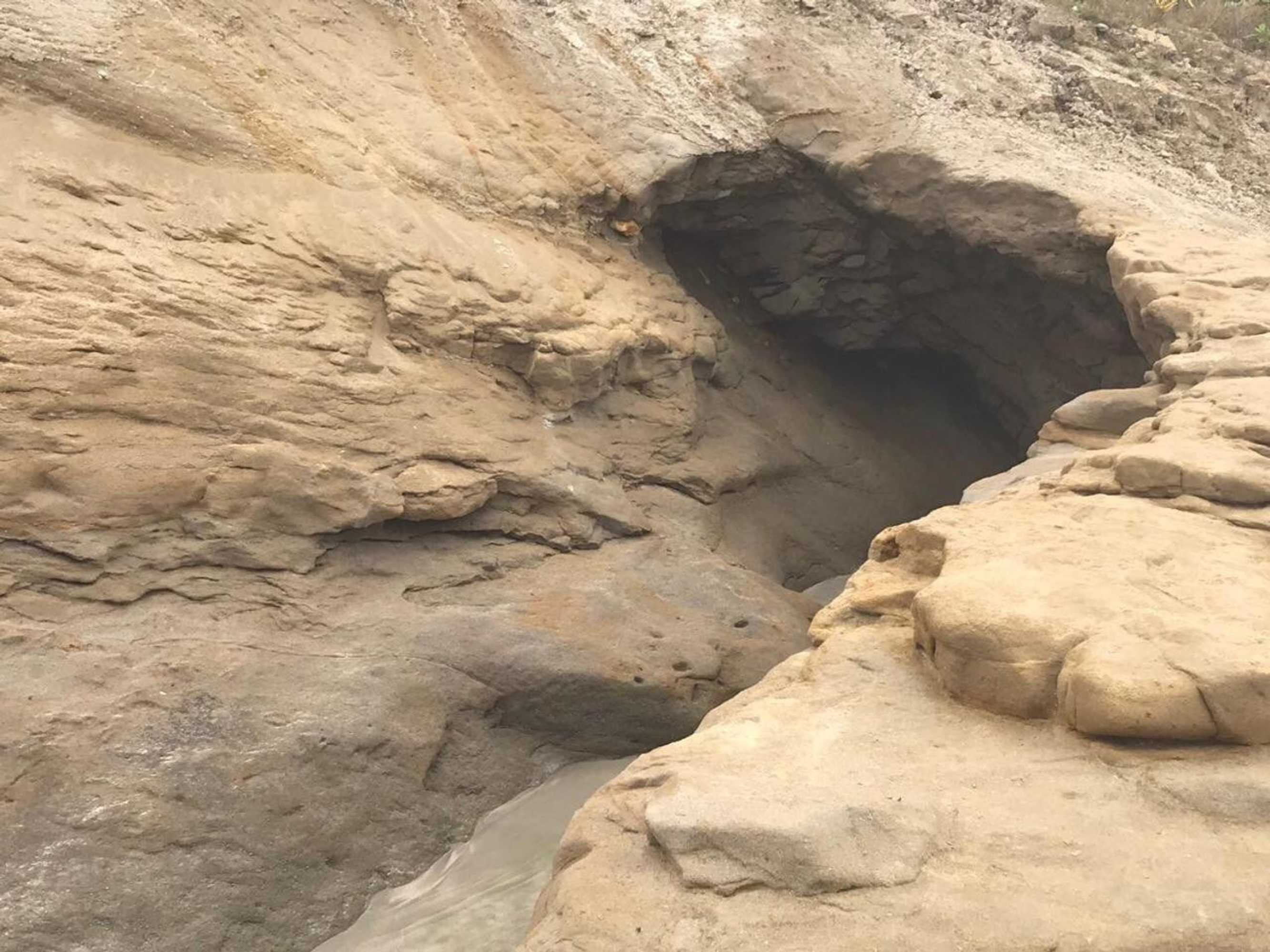 Gift card for Blackpoint Gift card for Blackpoint