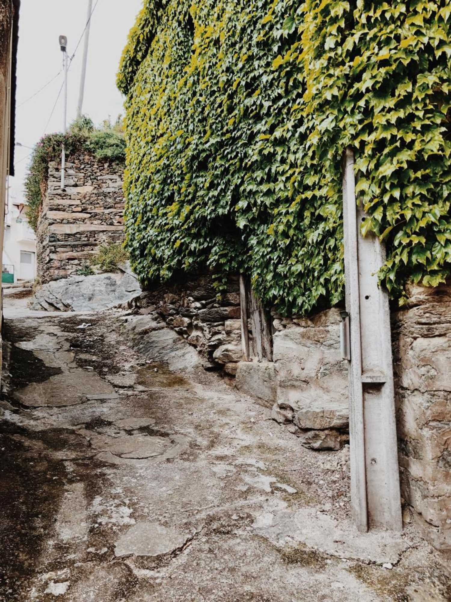 Gift card for Casa do Douro