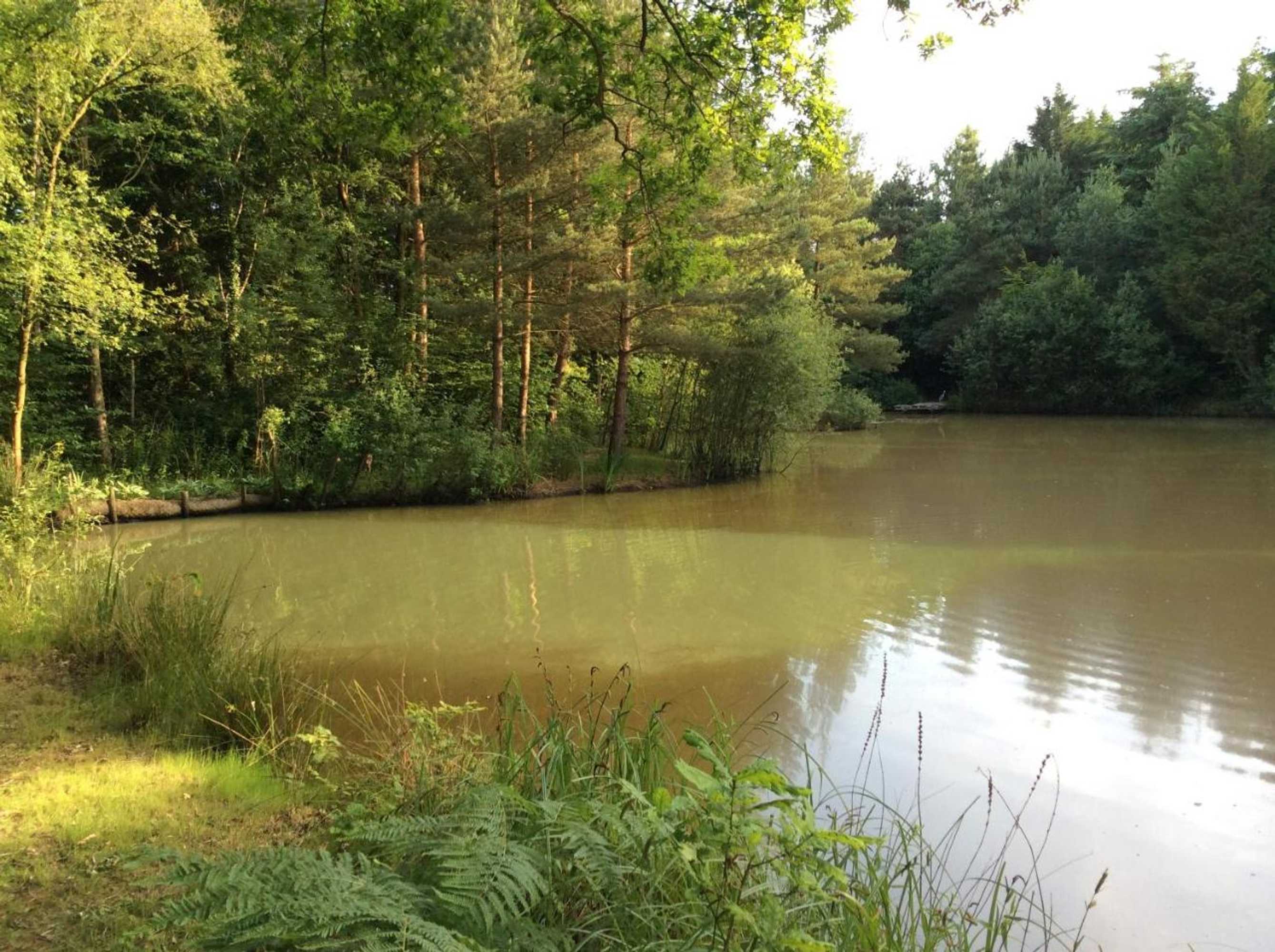 Gift card for The Firs