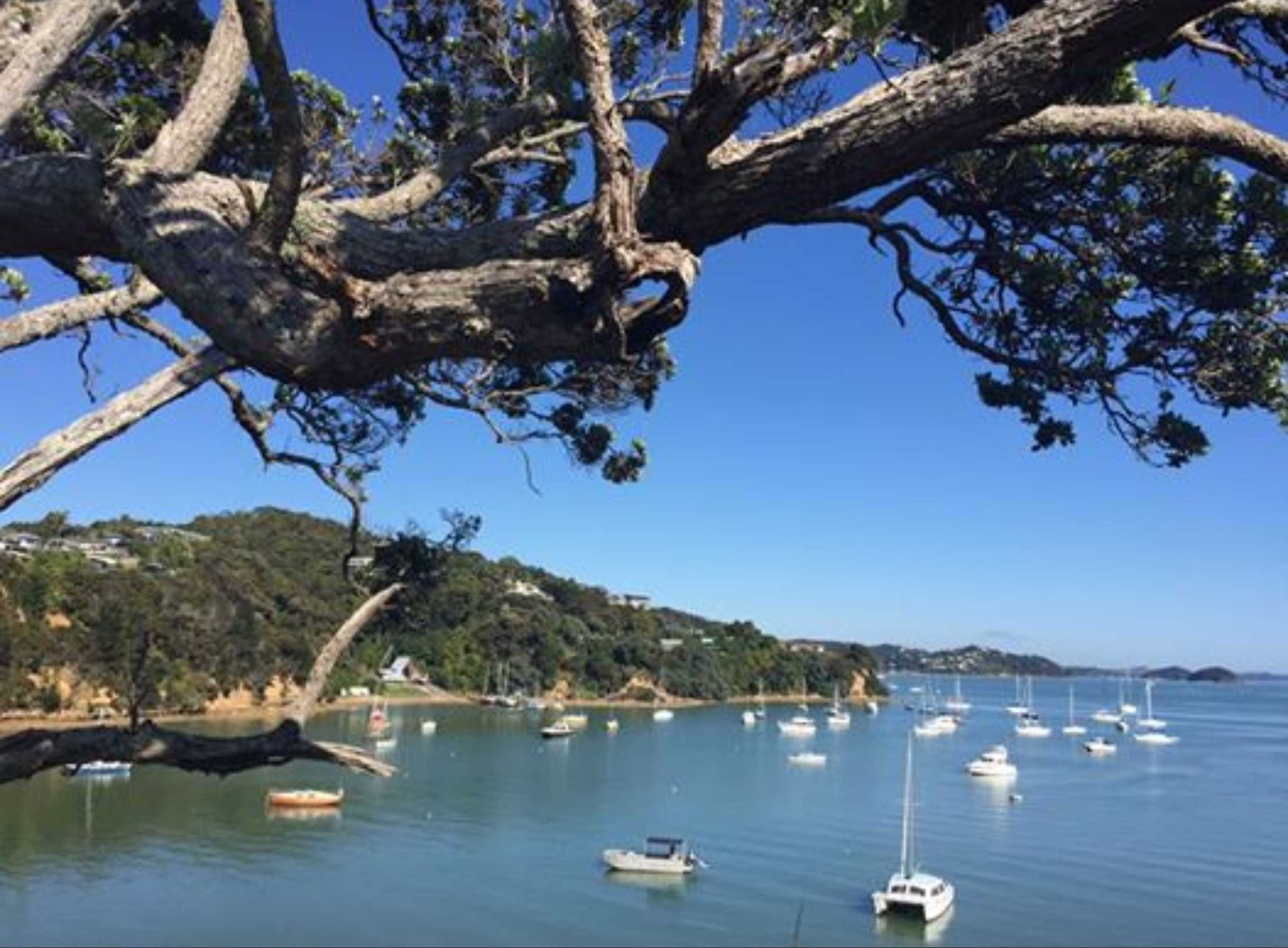 Gift card for Opua Boutique Seaview Motel Gift card for Opua Boutique Seaview Motel