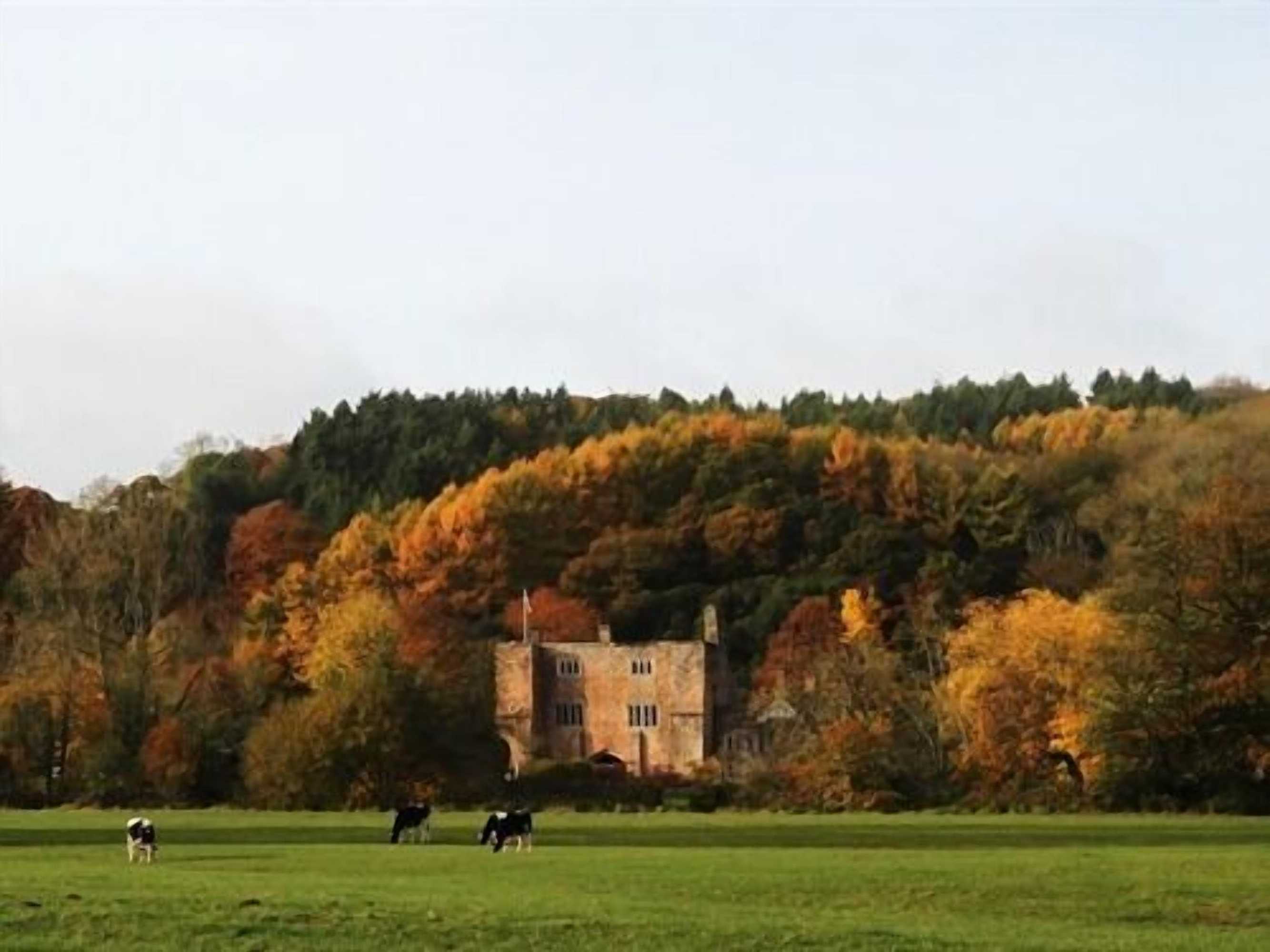 Gift card for Bickleigh Castle Hotel Gift card for Bickleigh Castle Hotel