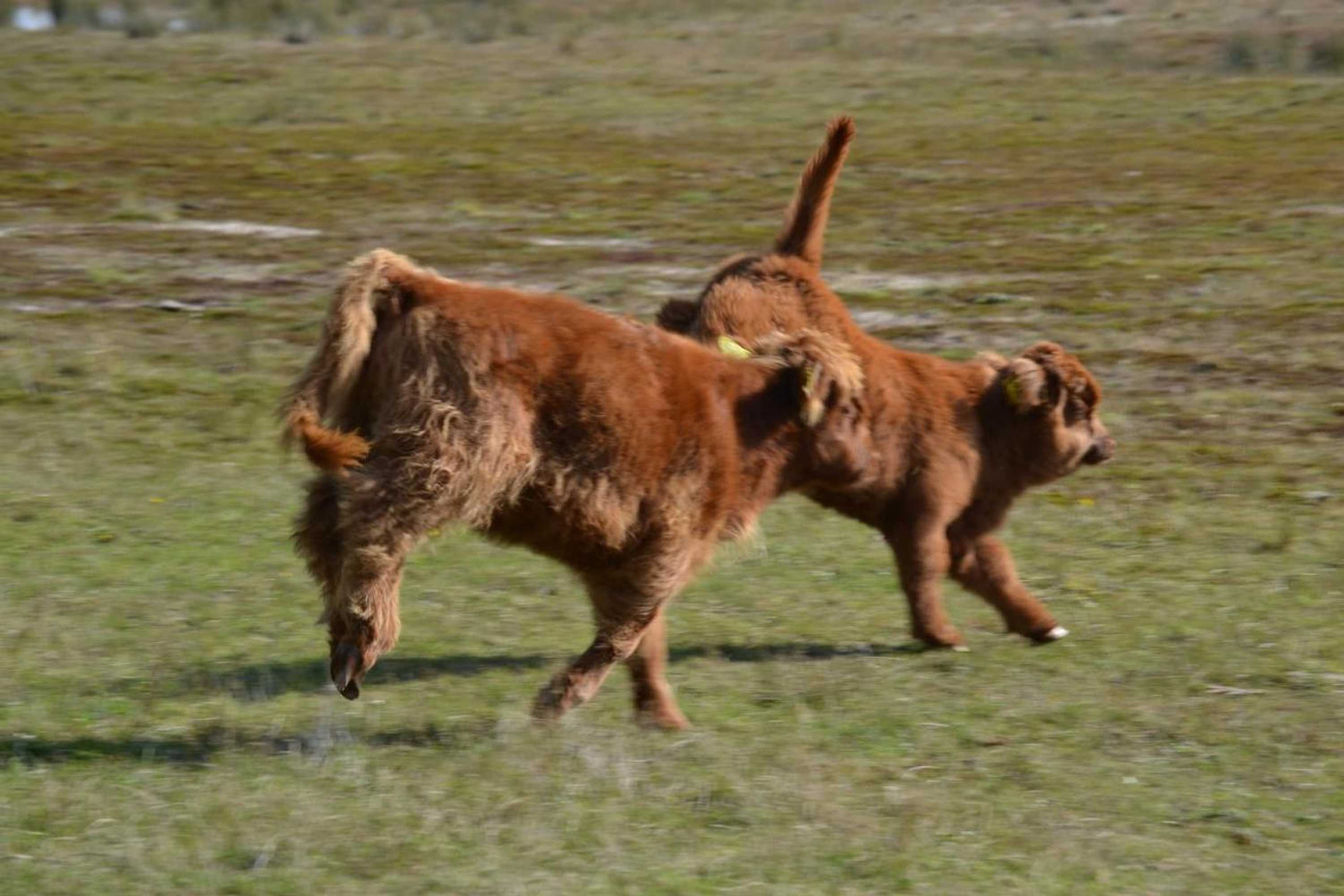 Gift card for Auberge De Moerse Hoeve