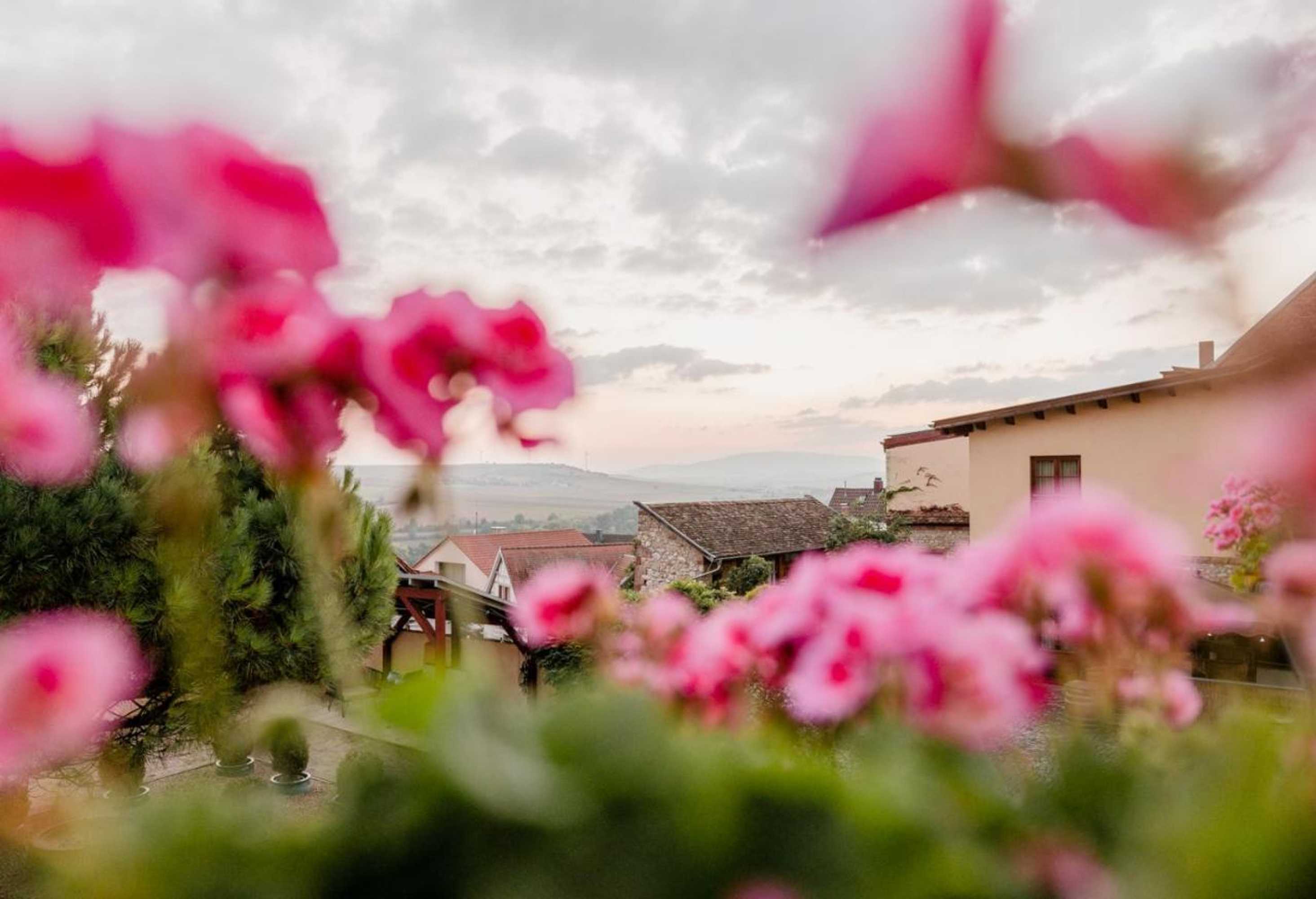 Gift card for Hotel Kollektur