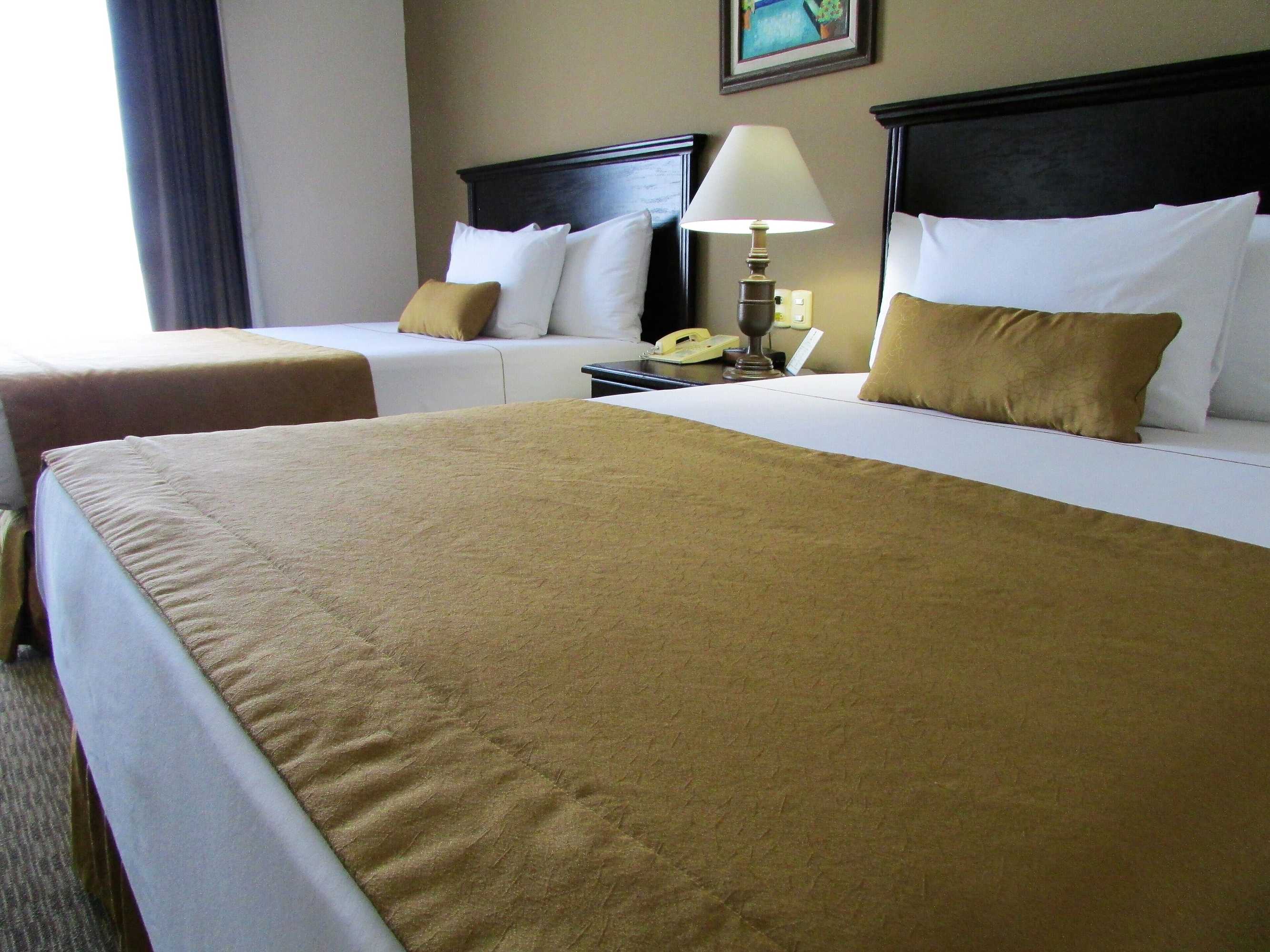 Gift card for Best Western Hotel Posada Del Rio Express