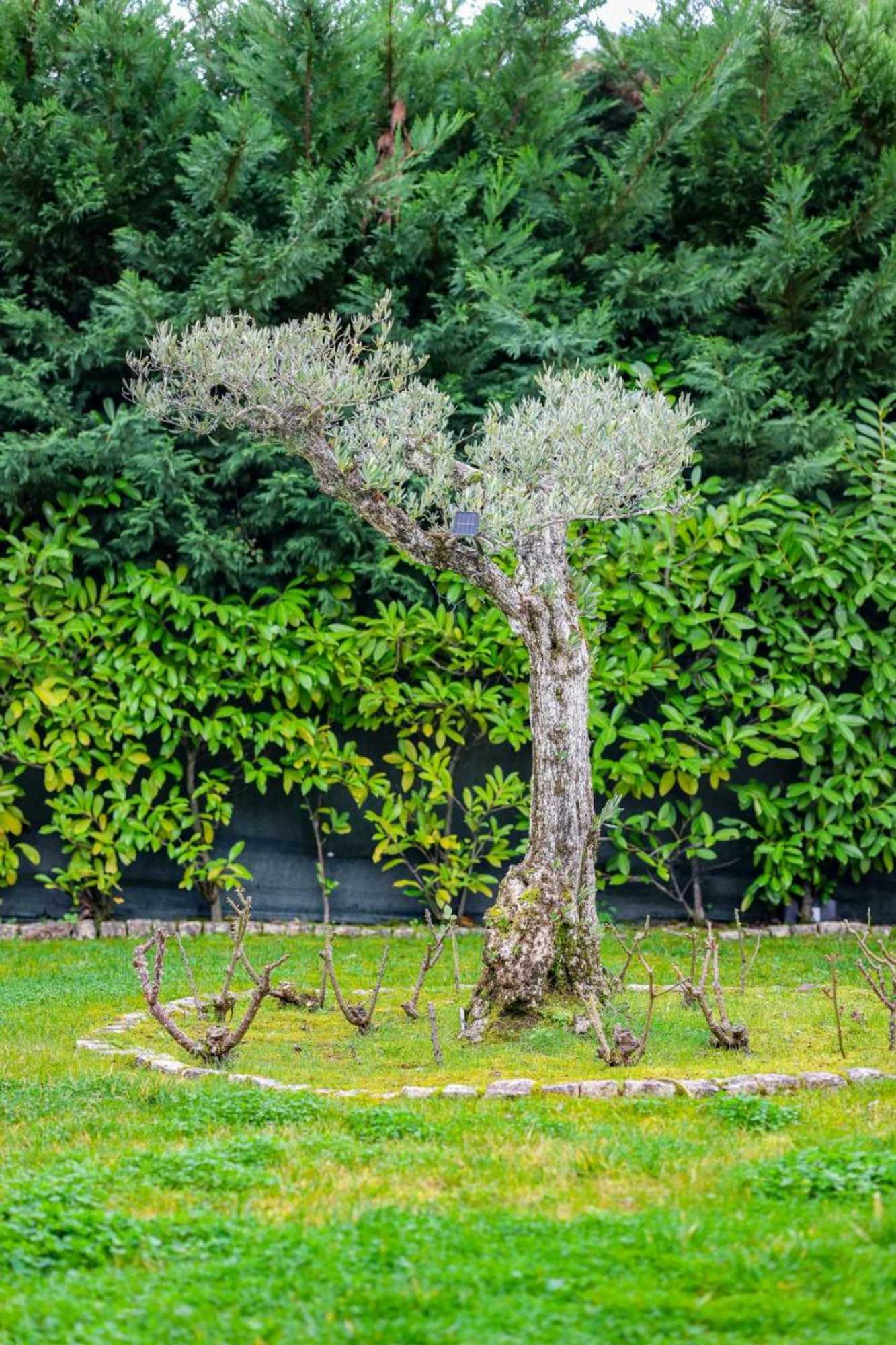 Gift card for Casa do Olival