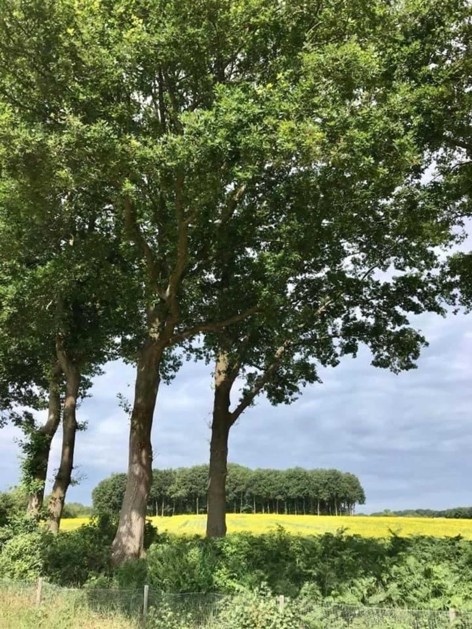 Gift card for Camping Lagewald Vakantiehuis