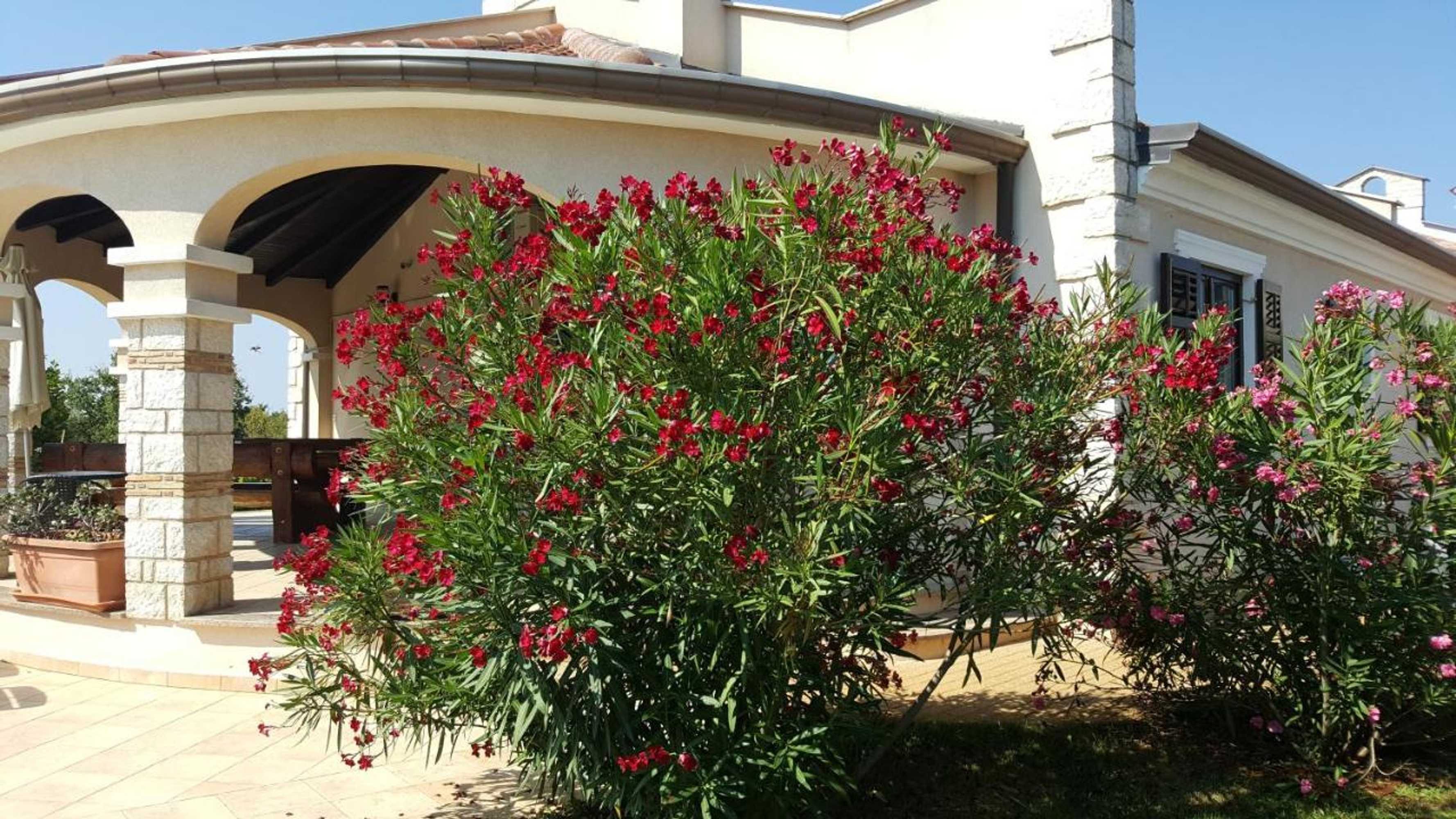 Gift card for Villa Parenzo