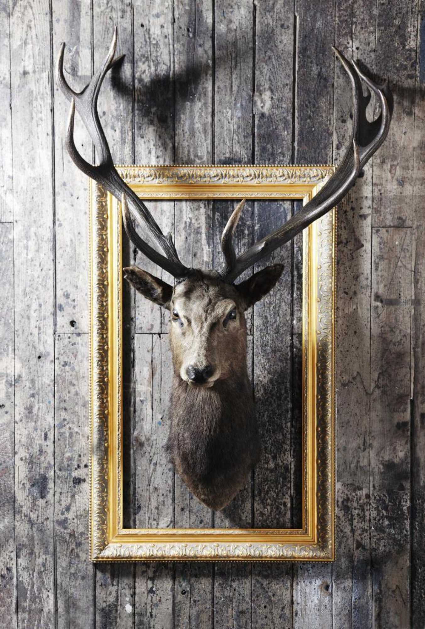 Gift card for Landhotel Hirsch