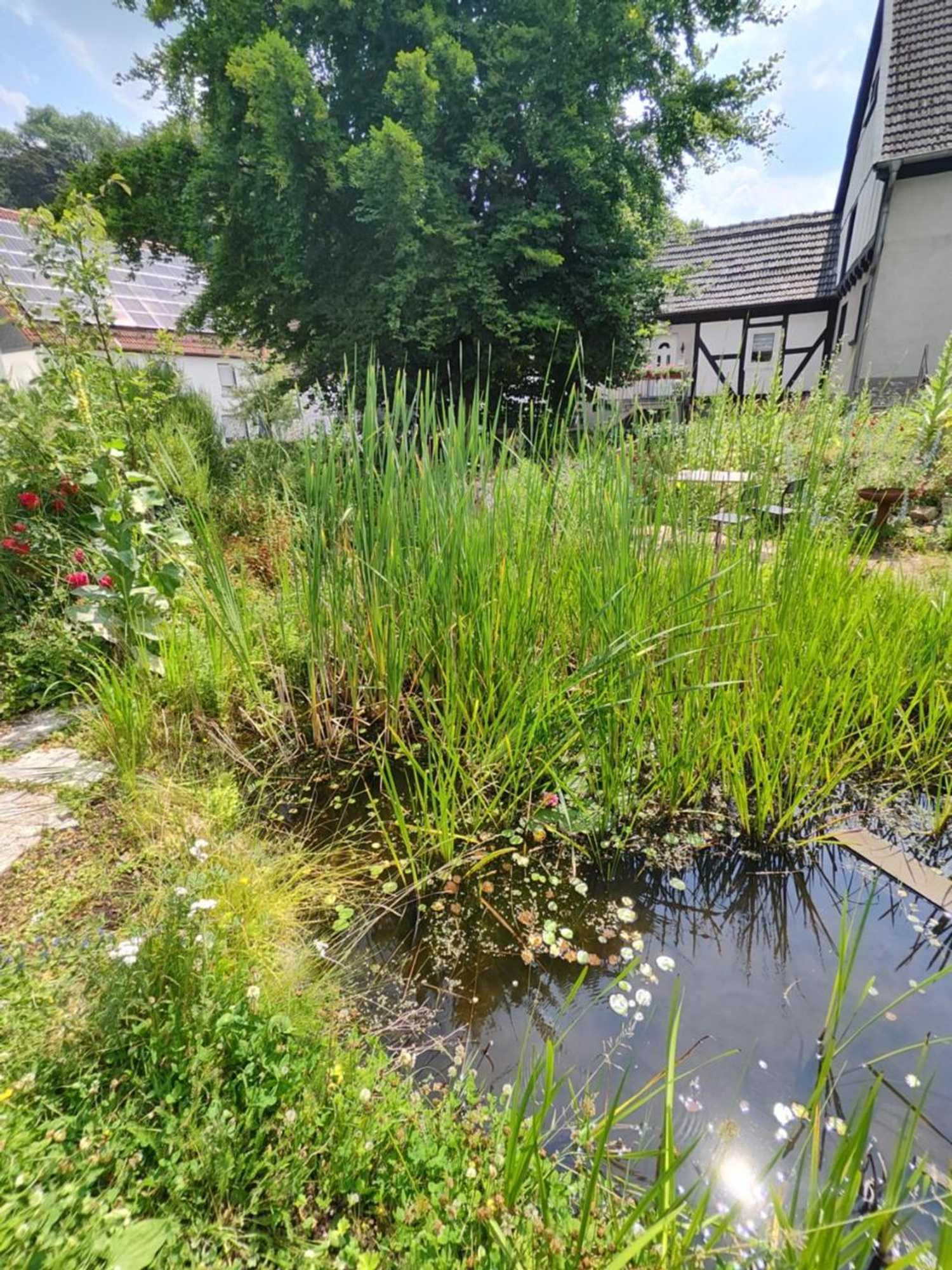 Gift card for Mammut Apartments