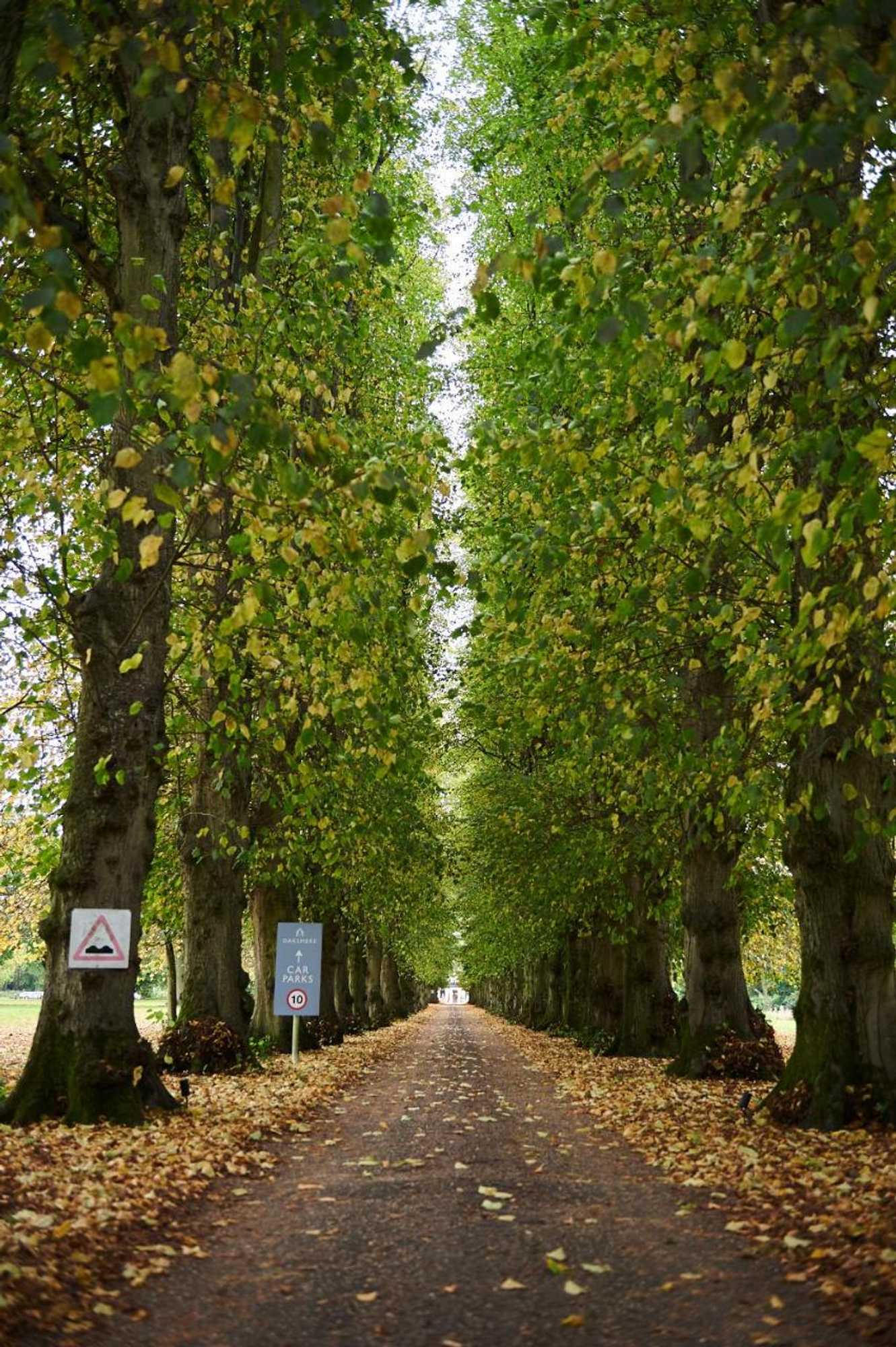 Gift card for The Oaksmere