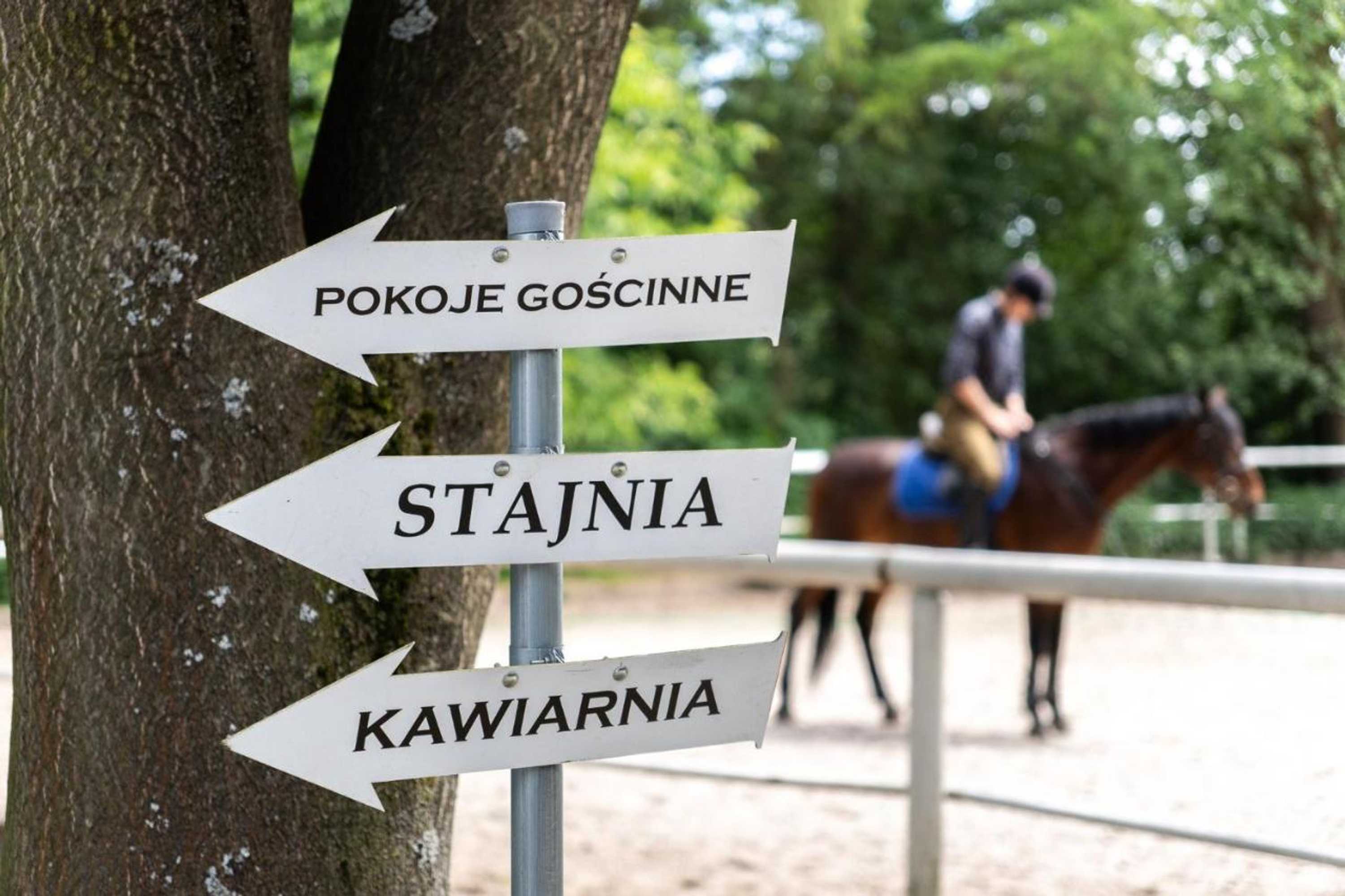 Gift card for Pokoje Gościnne Cheval