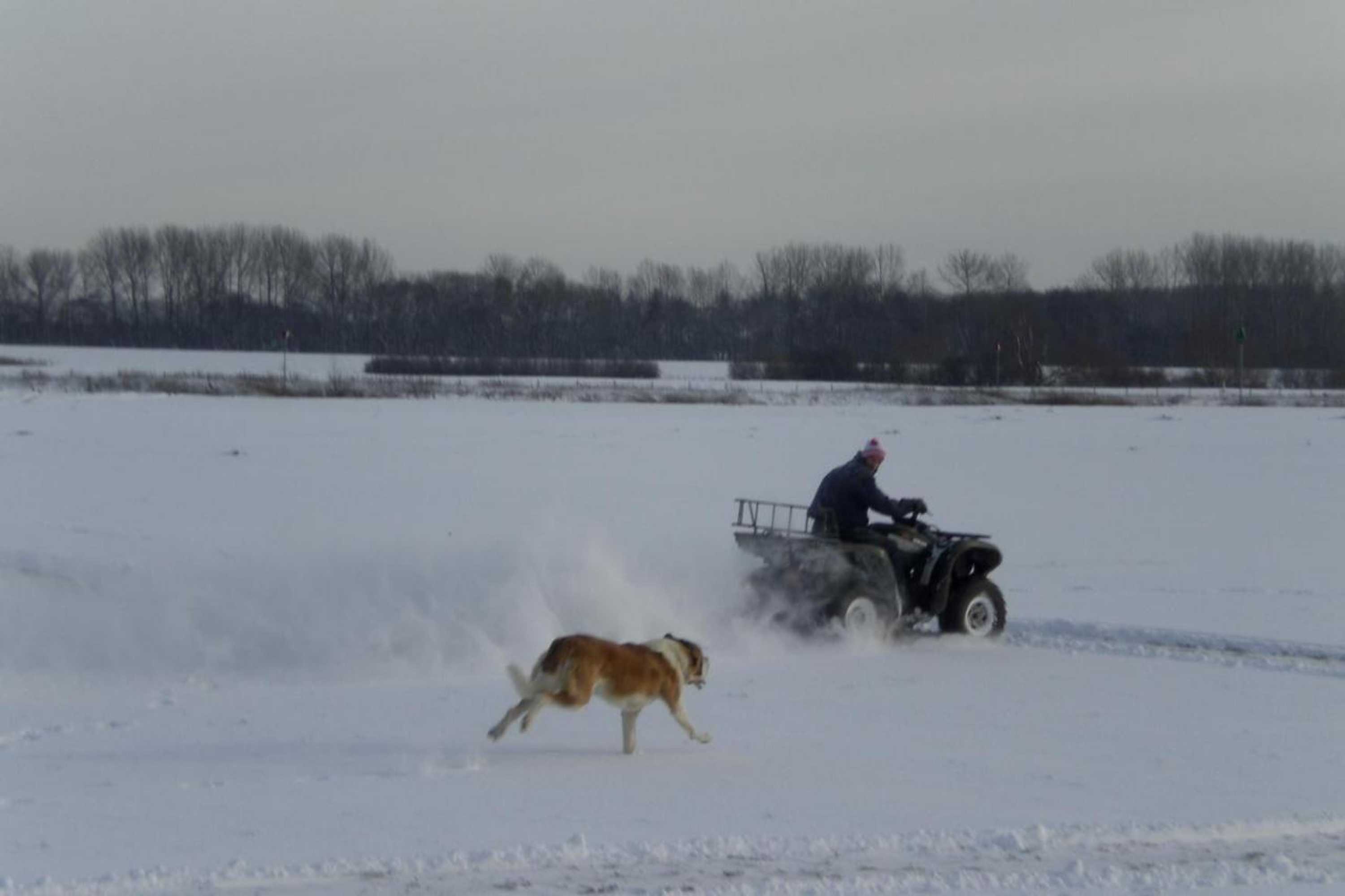 Gift card for B&b de Rivierduin