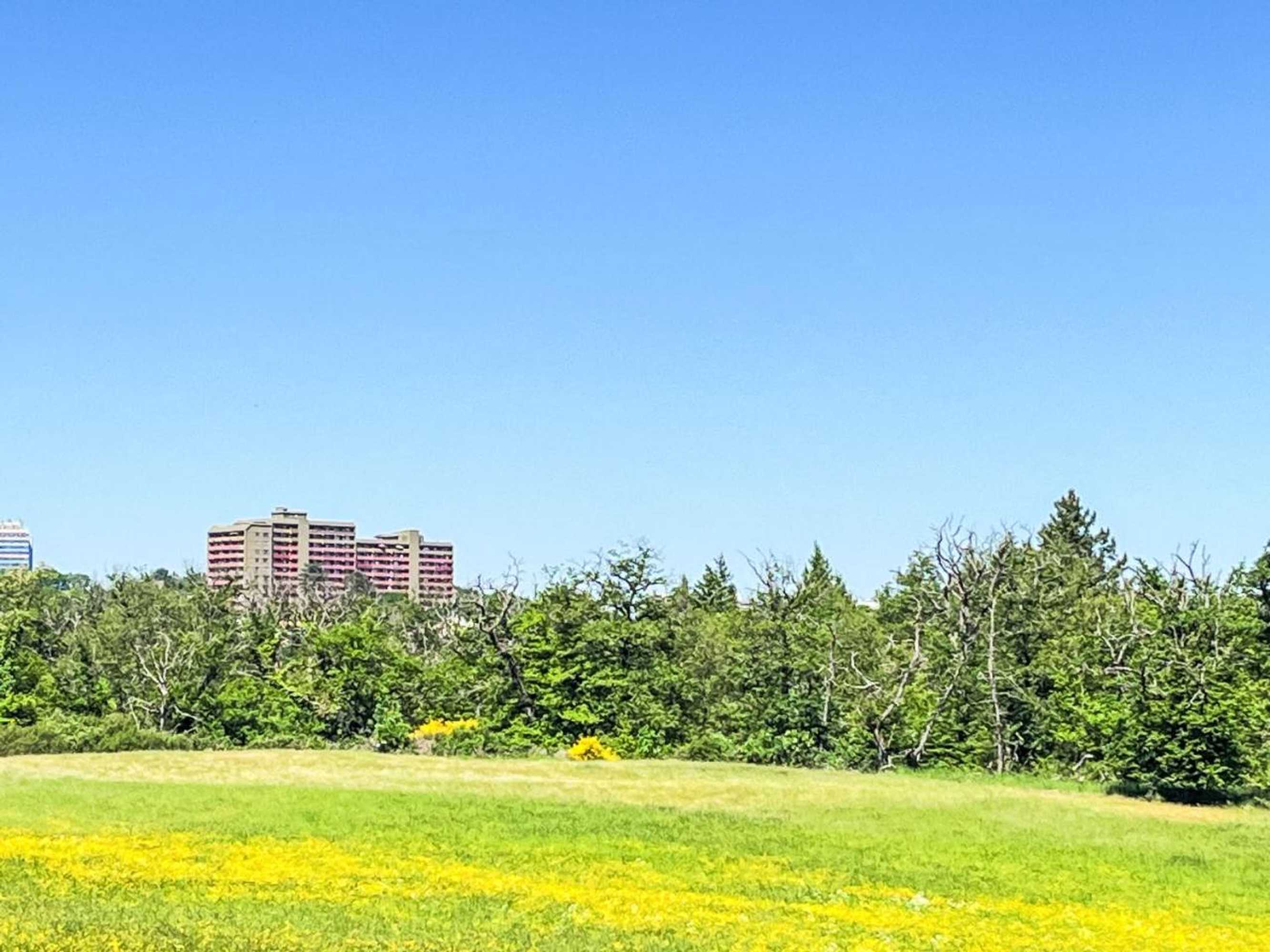 Gift card for Apartment A110 by Interhome