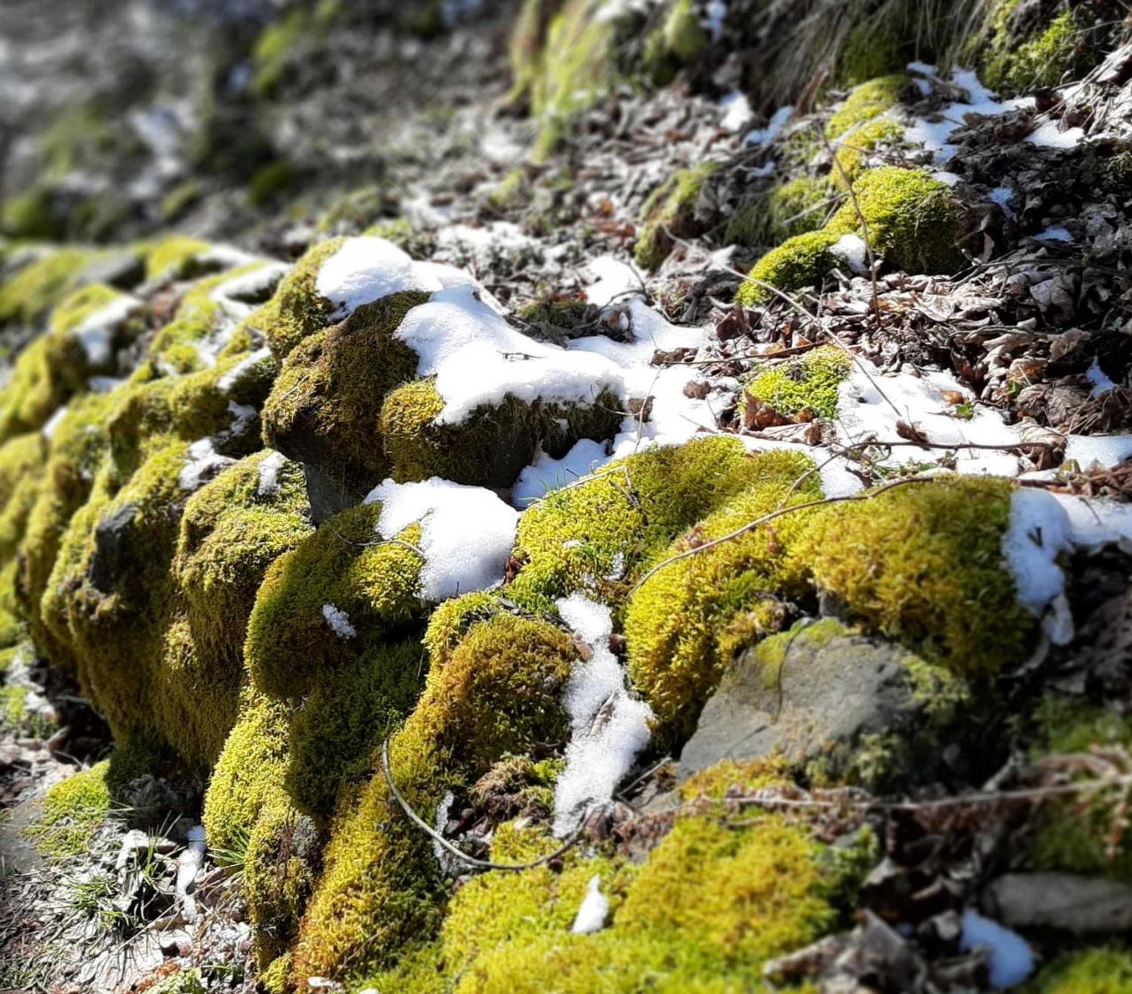 Gift card for Fewo an Der Teufelskanzel