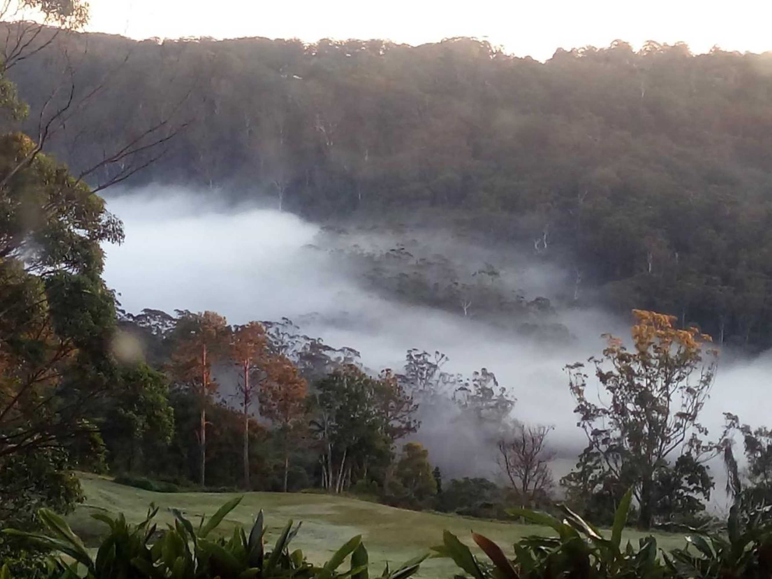 Gift card for The Avenue at Montville Cottage