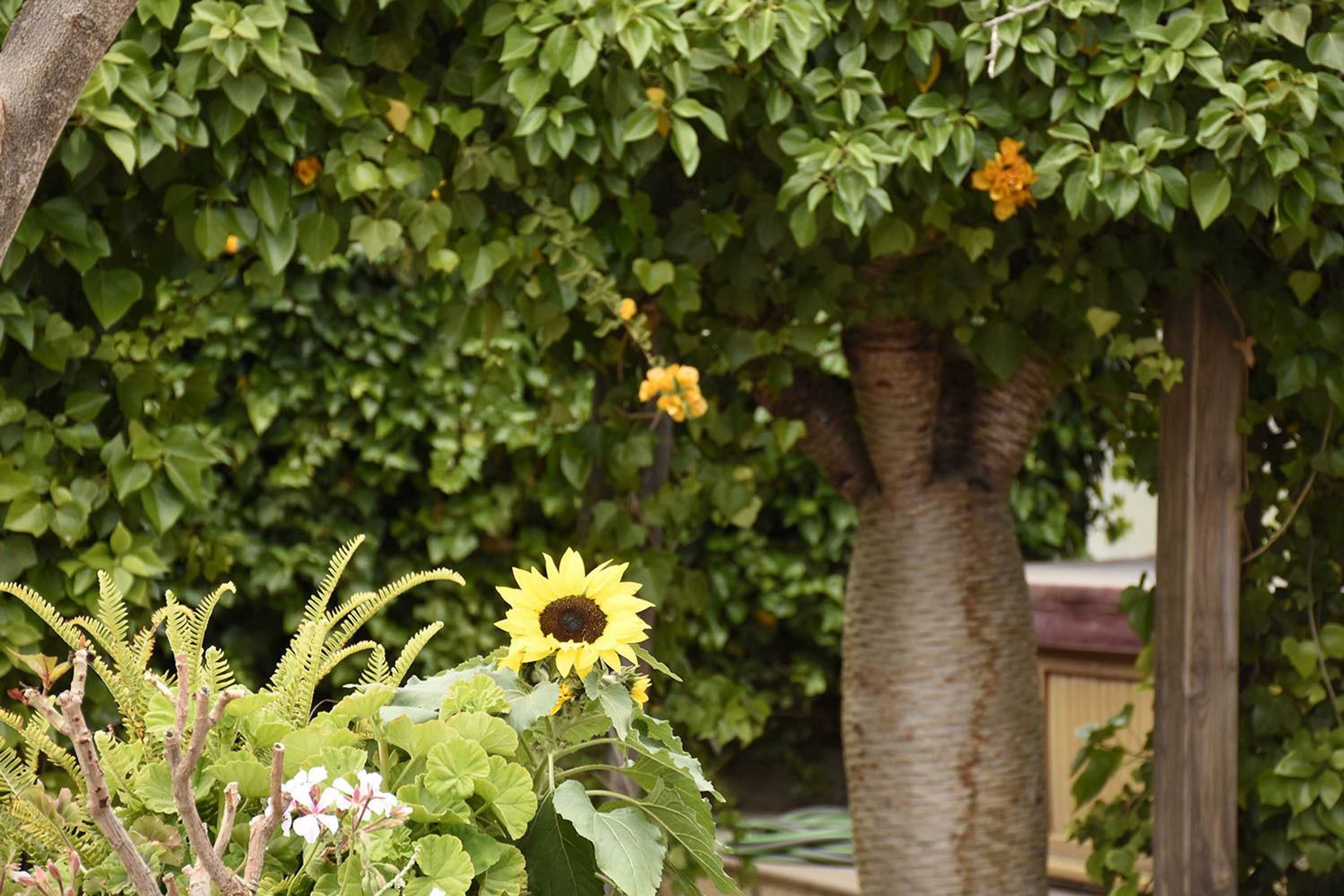 Gift card for Casas Rurales Los Gavilanes Gift card for Casas Rurales Los Gavilanes
