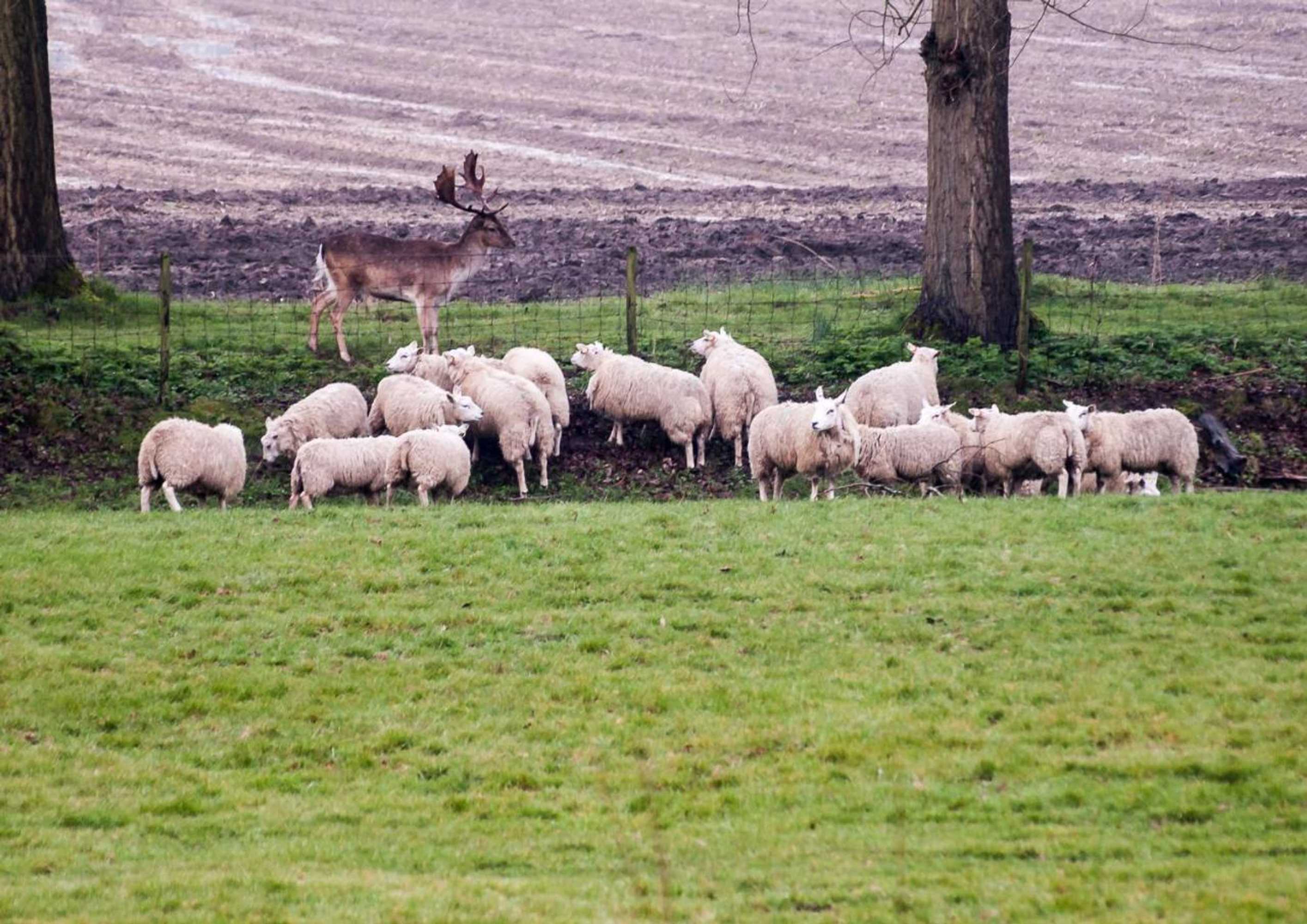 Gift card for Bed & Breakfast De Schuur Inn