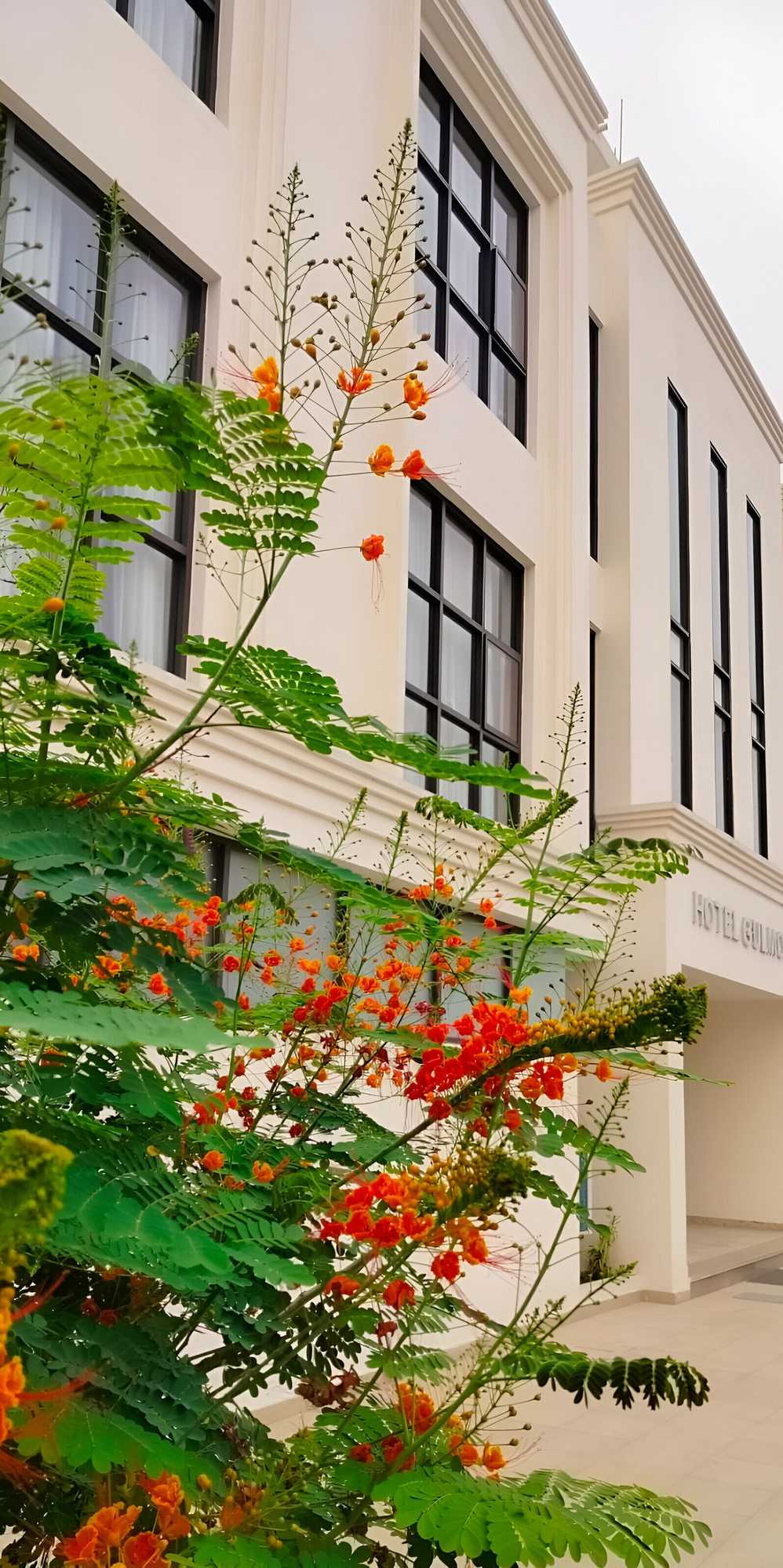 Gift card for Hotel Gulmohar Gift card for Hotel Gulmohar