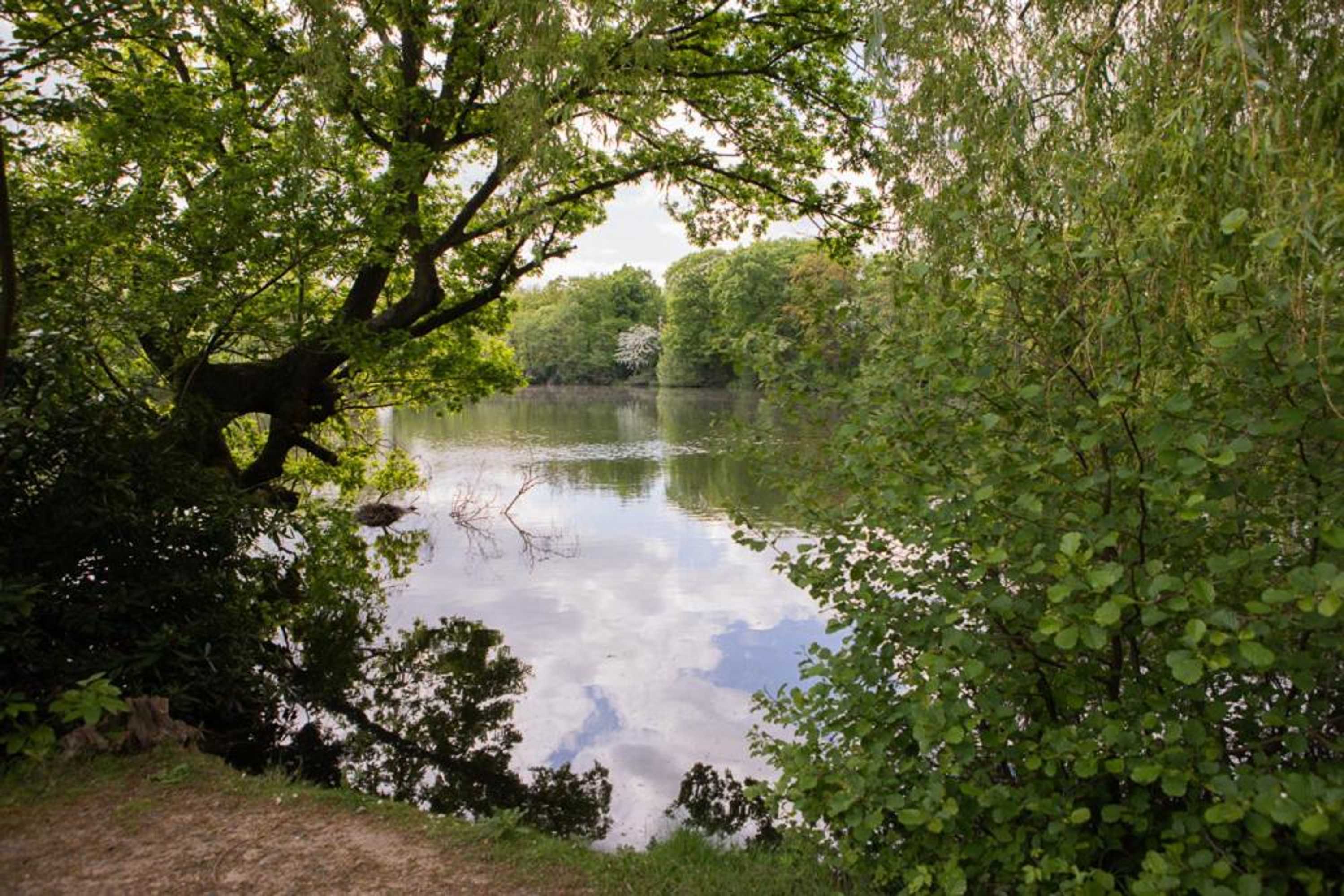 Gift card for Inn On The Lake