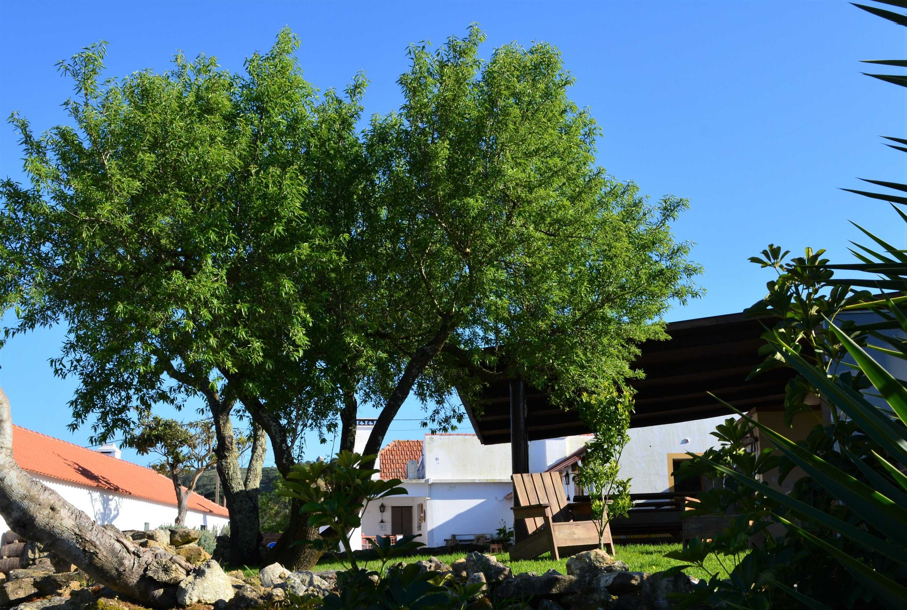 Gift card for Quinta do Tio Viagem