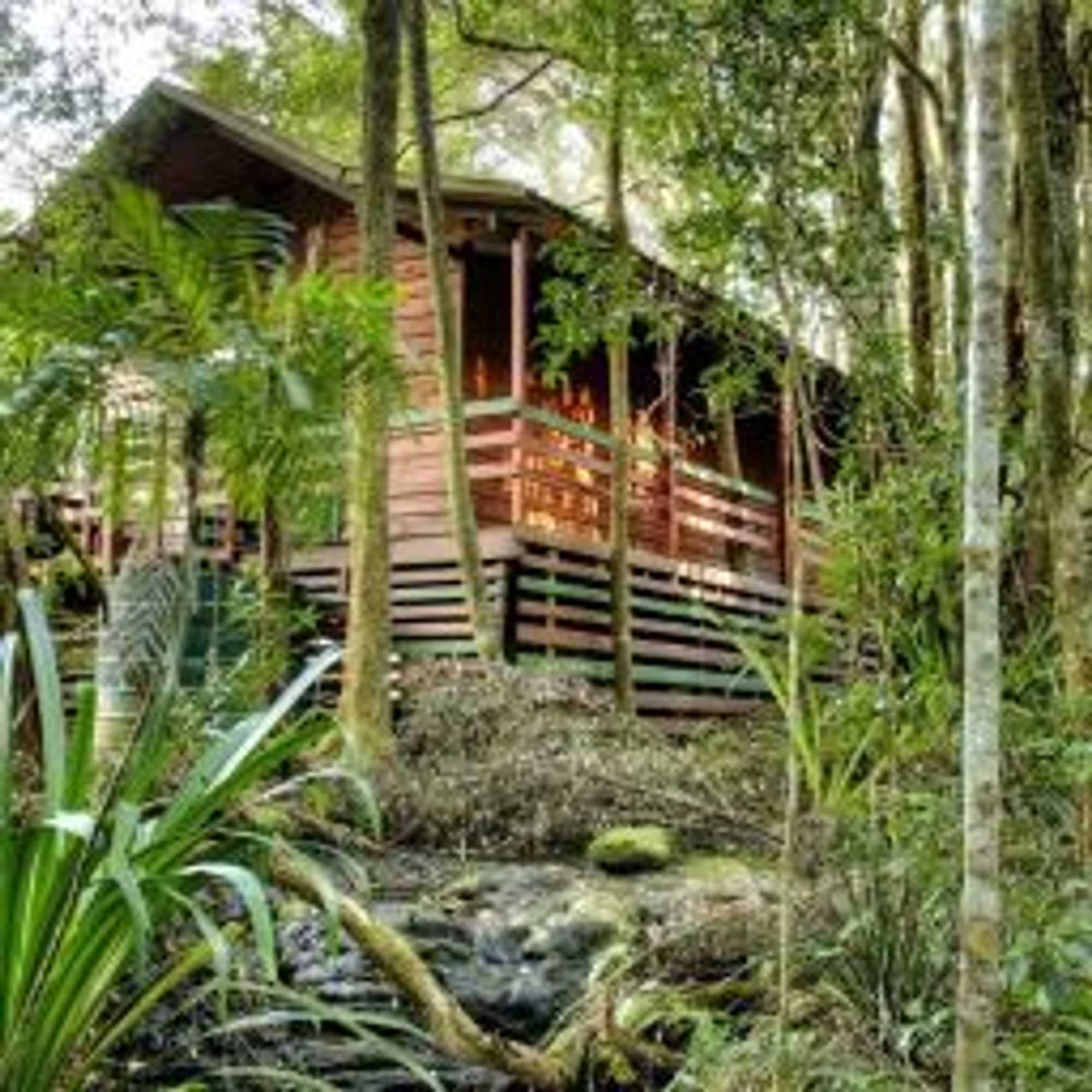Gift card for The Mouses House Rainforest Retreat Gift card for The Mouses House Rainforest Retreat
