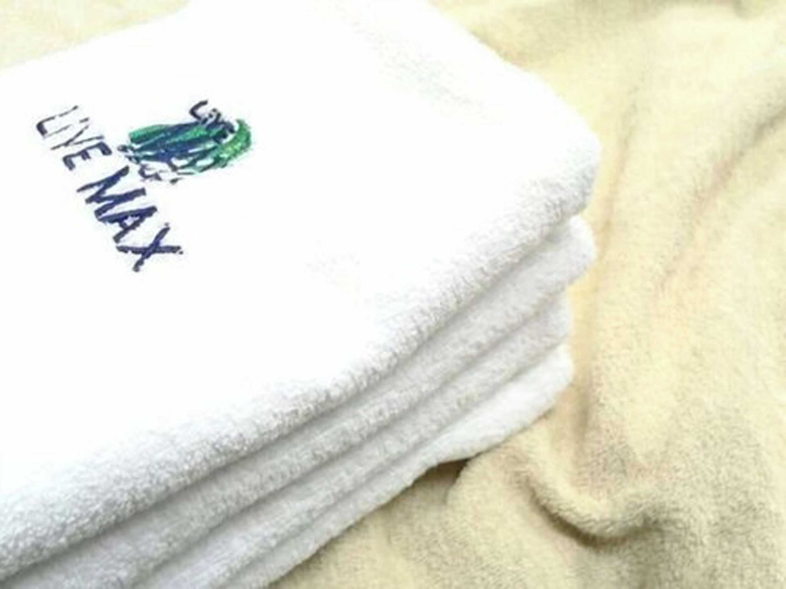 Gift card for Hotel Livemax Okazaki