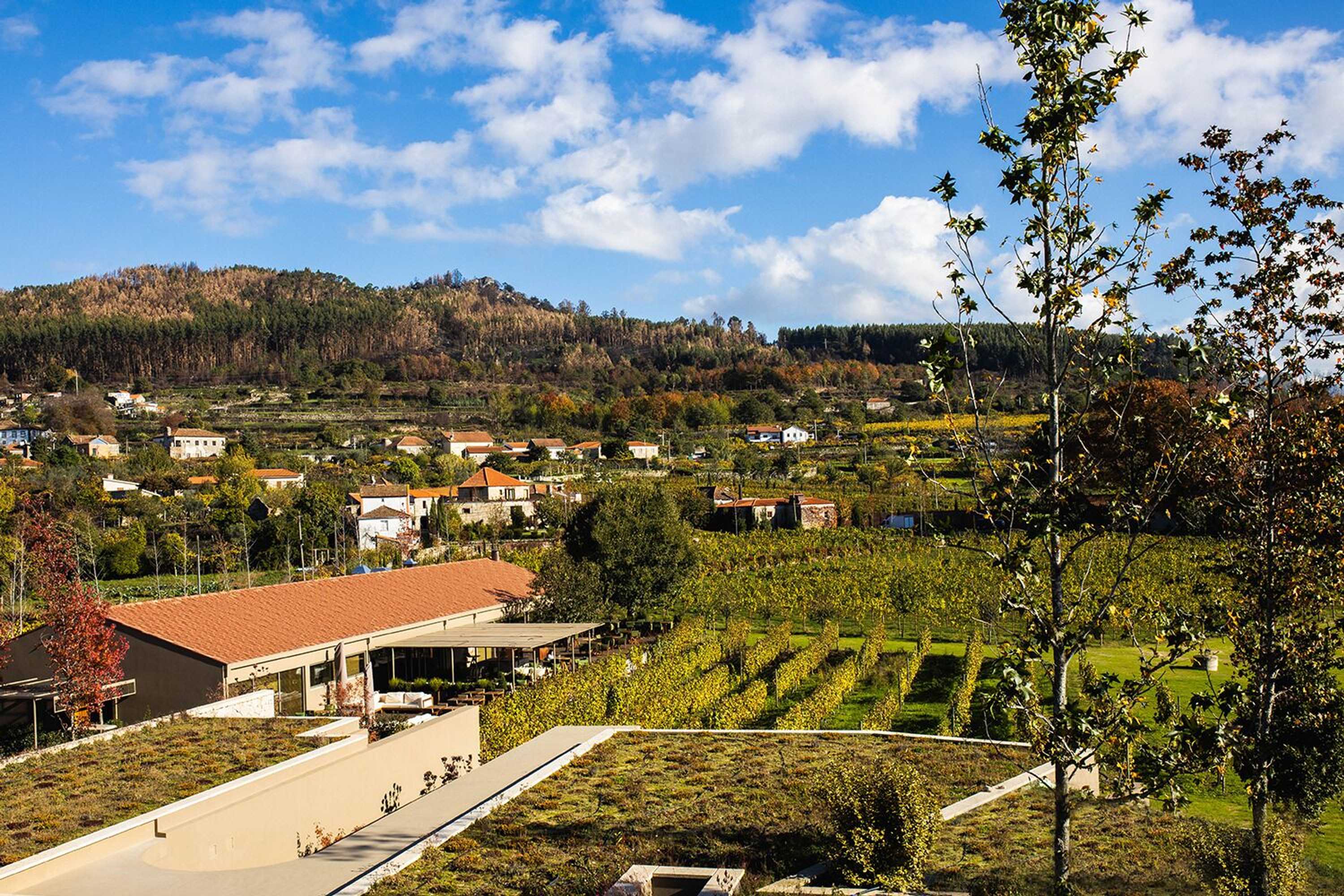Gift card for Lavandeira Douro Nature & Wellness Gift card for Lavandeira Douro Nature & Wellness