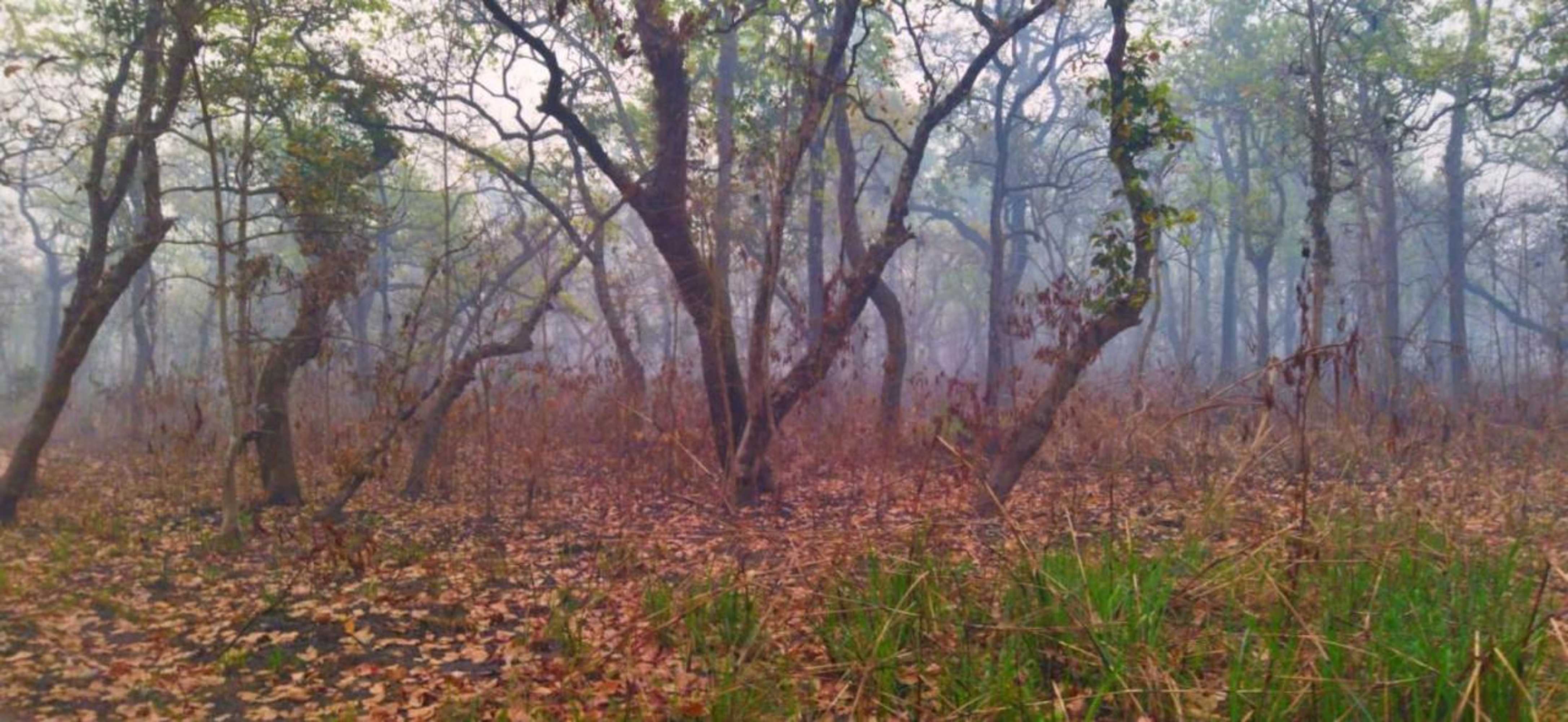 Gift card for Sauraha Holiday Home Riverside