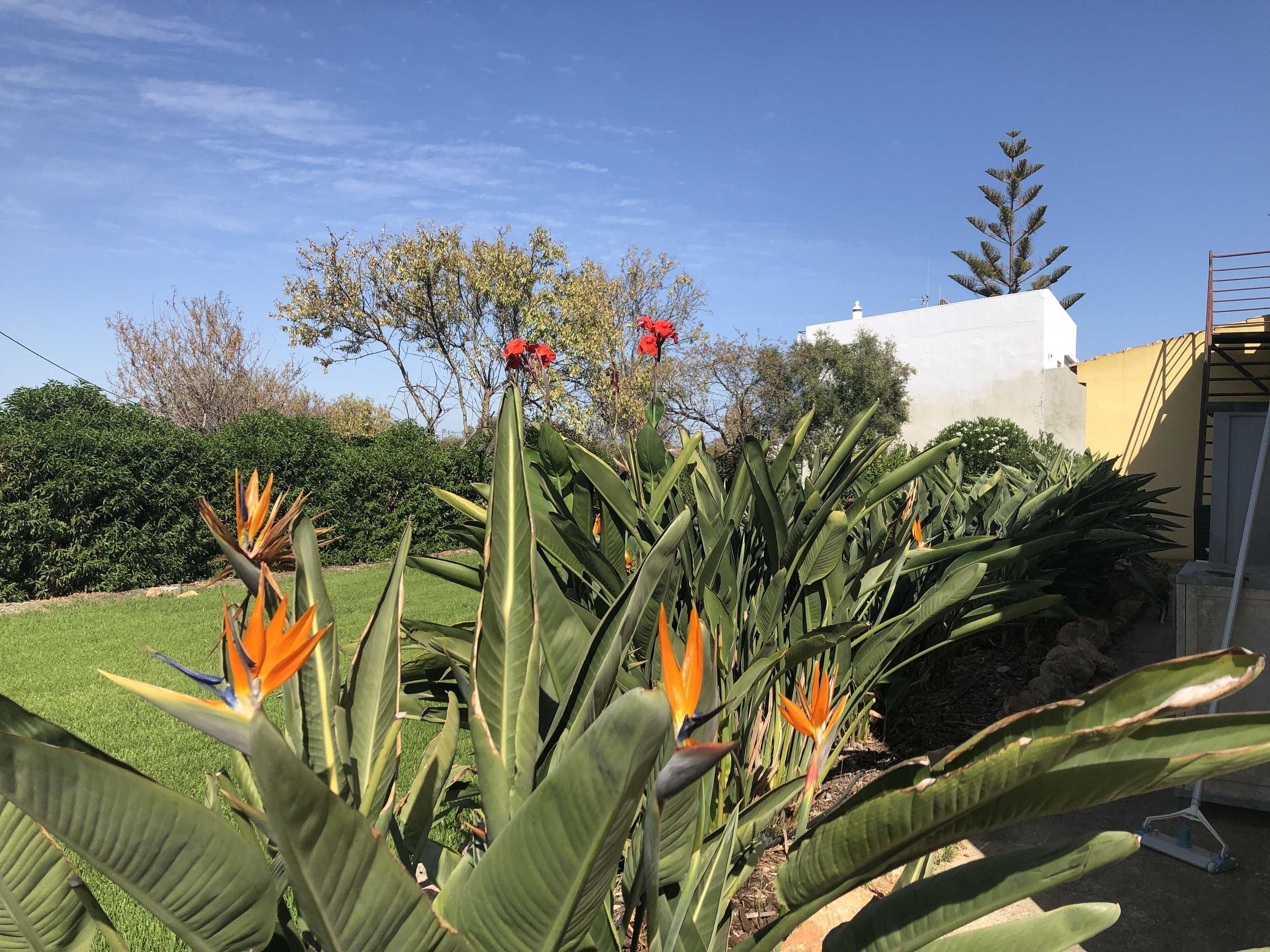 Gift card for Rustic Villa With Pool Near Olhao Gift card for Rustic Villa With Pool Near Olhao