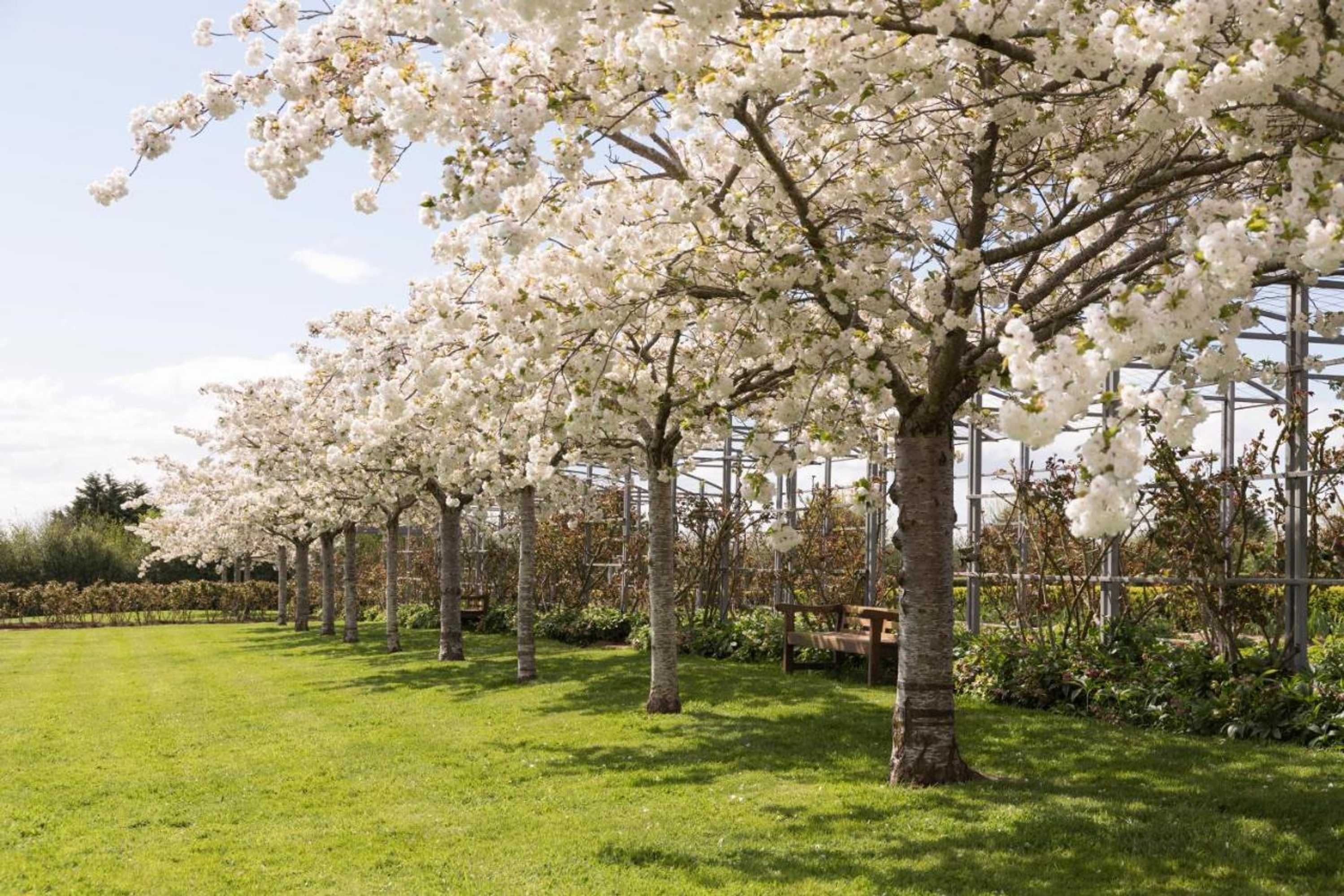 Gift card for Woolmers Estate