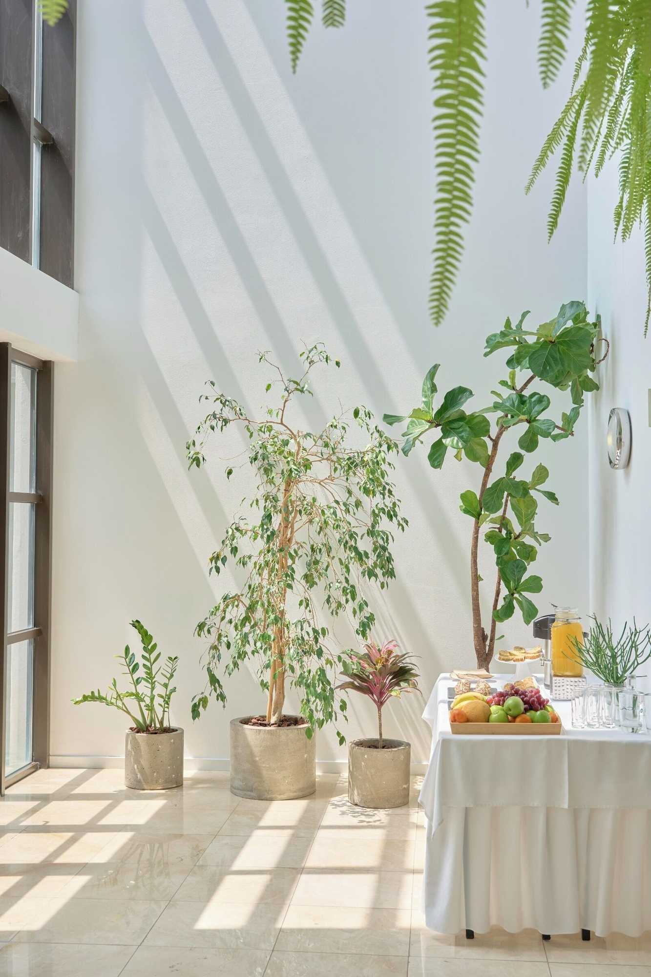 Gift card for Caloura Hotel Resort