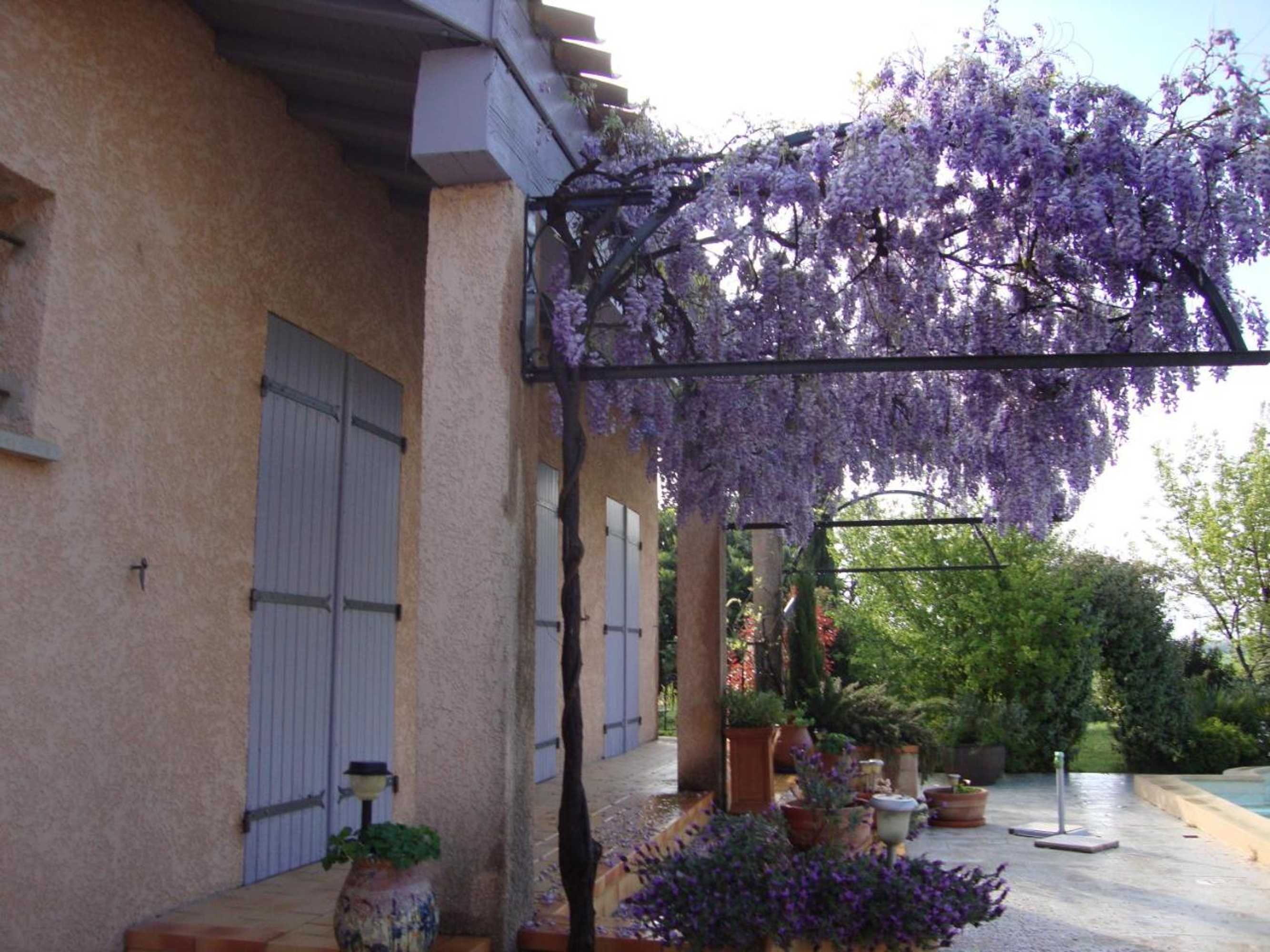 Gift card for Michèle et Didier Lin