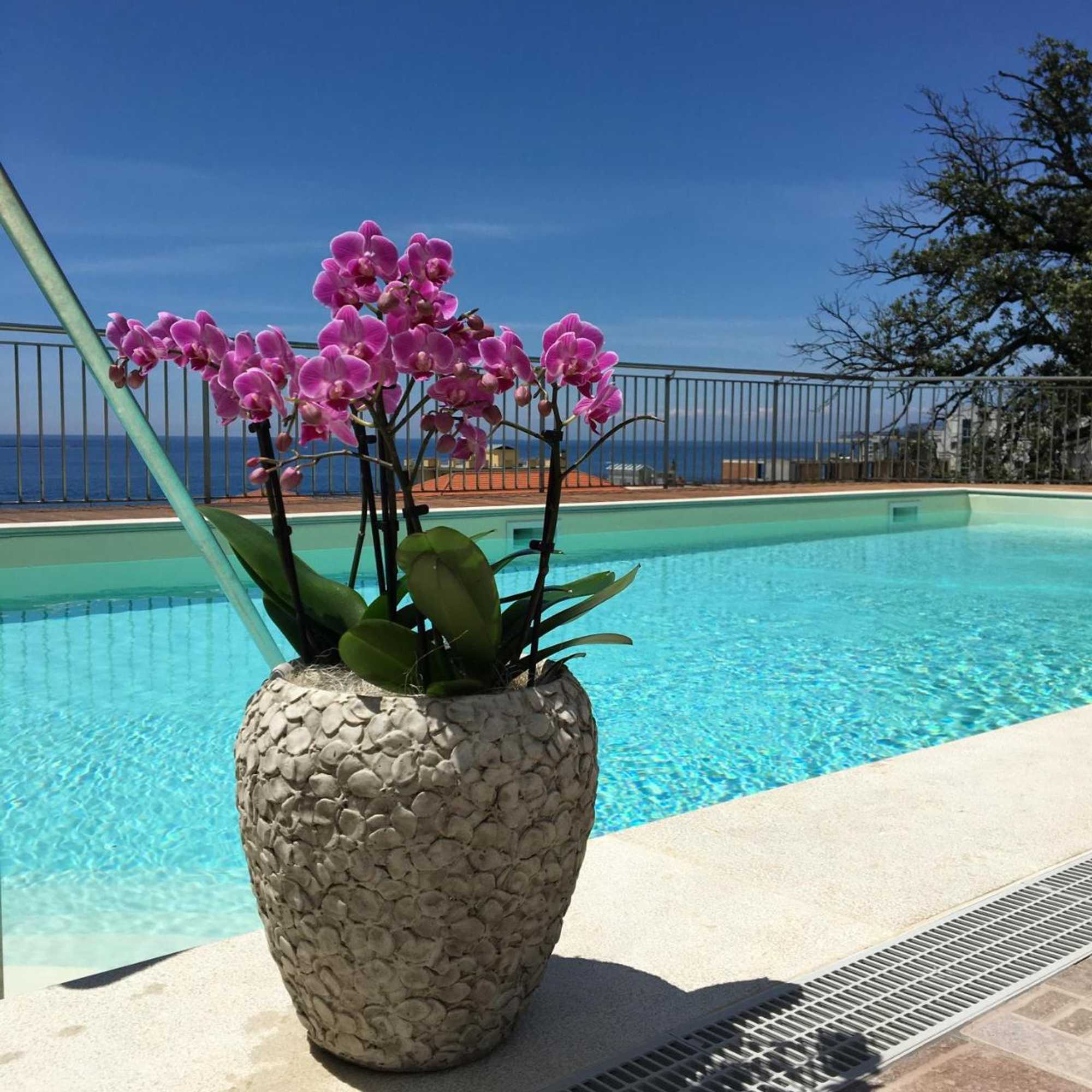 Gift card for Hotel Mediterraneo