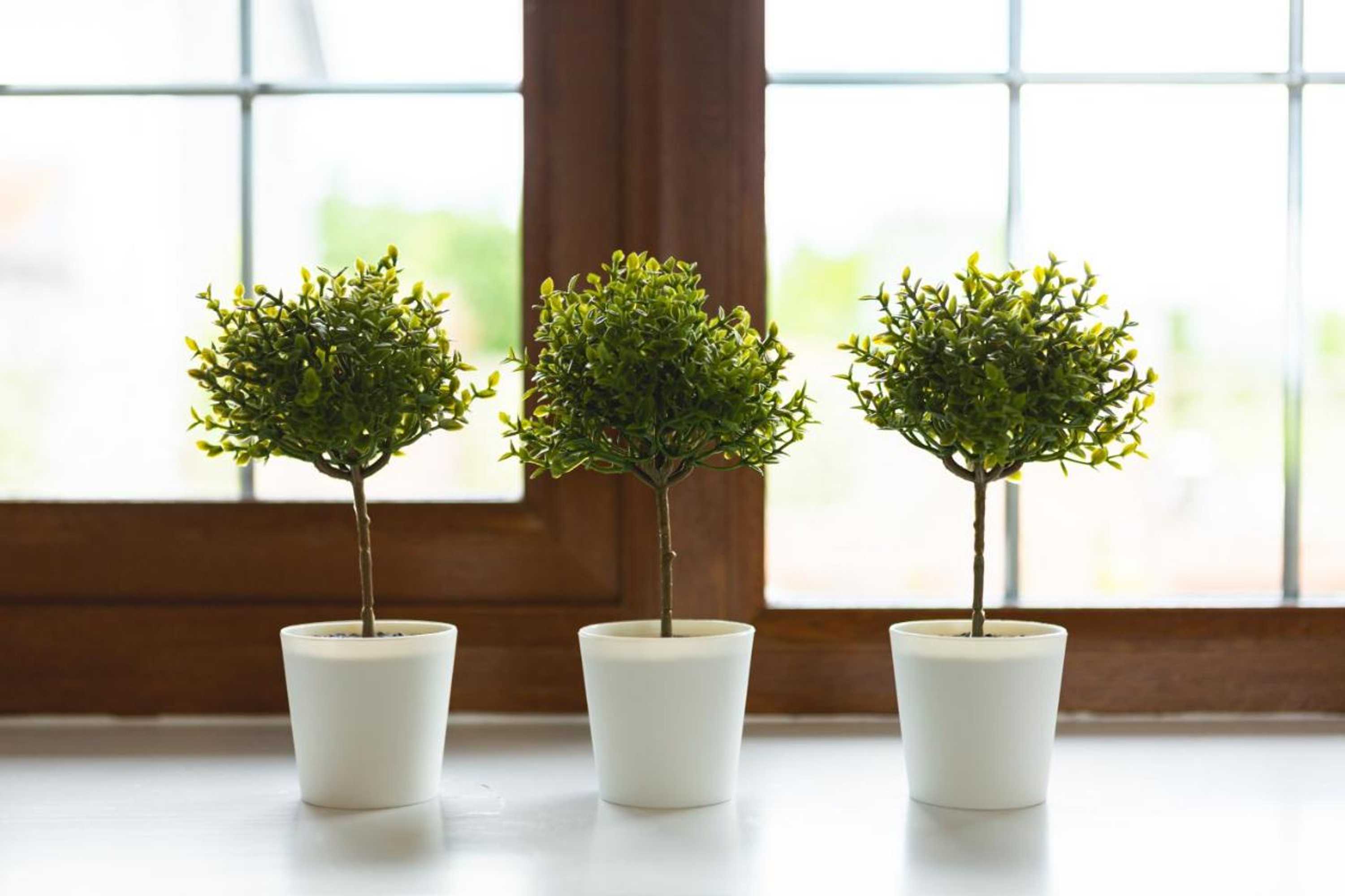 Gift card for Wick House B&b