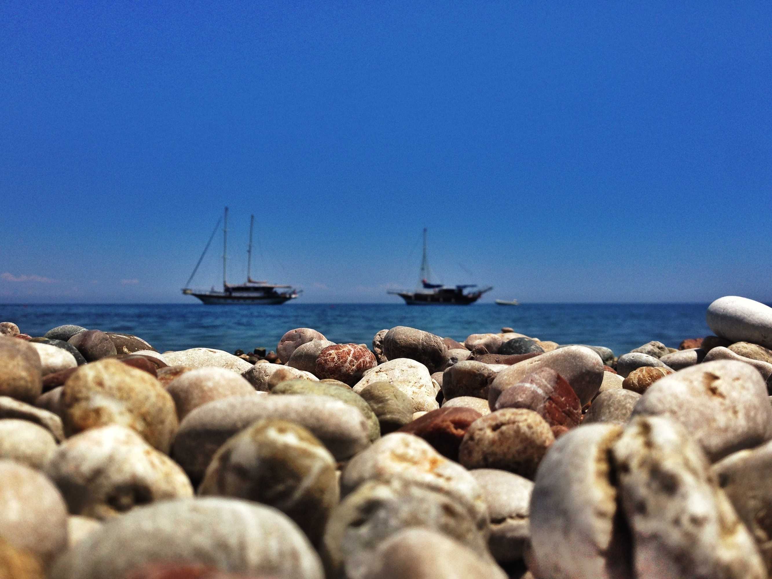 Gift card for Kadir's Tree Houses