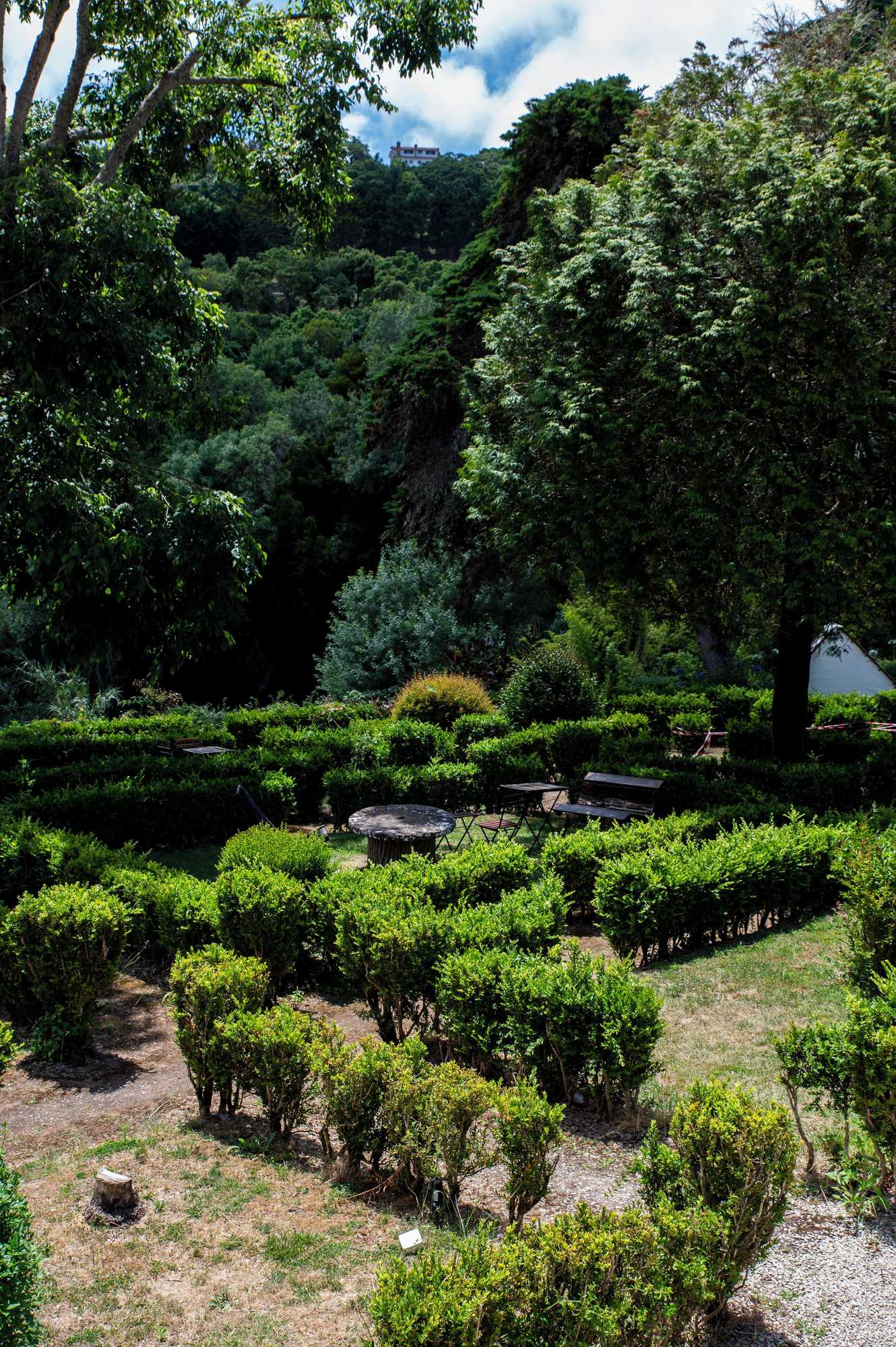 Gift card for Wot Sarrazola Soul