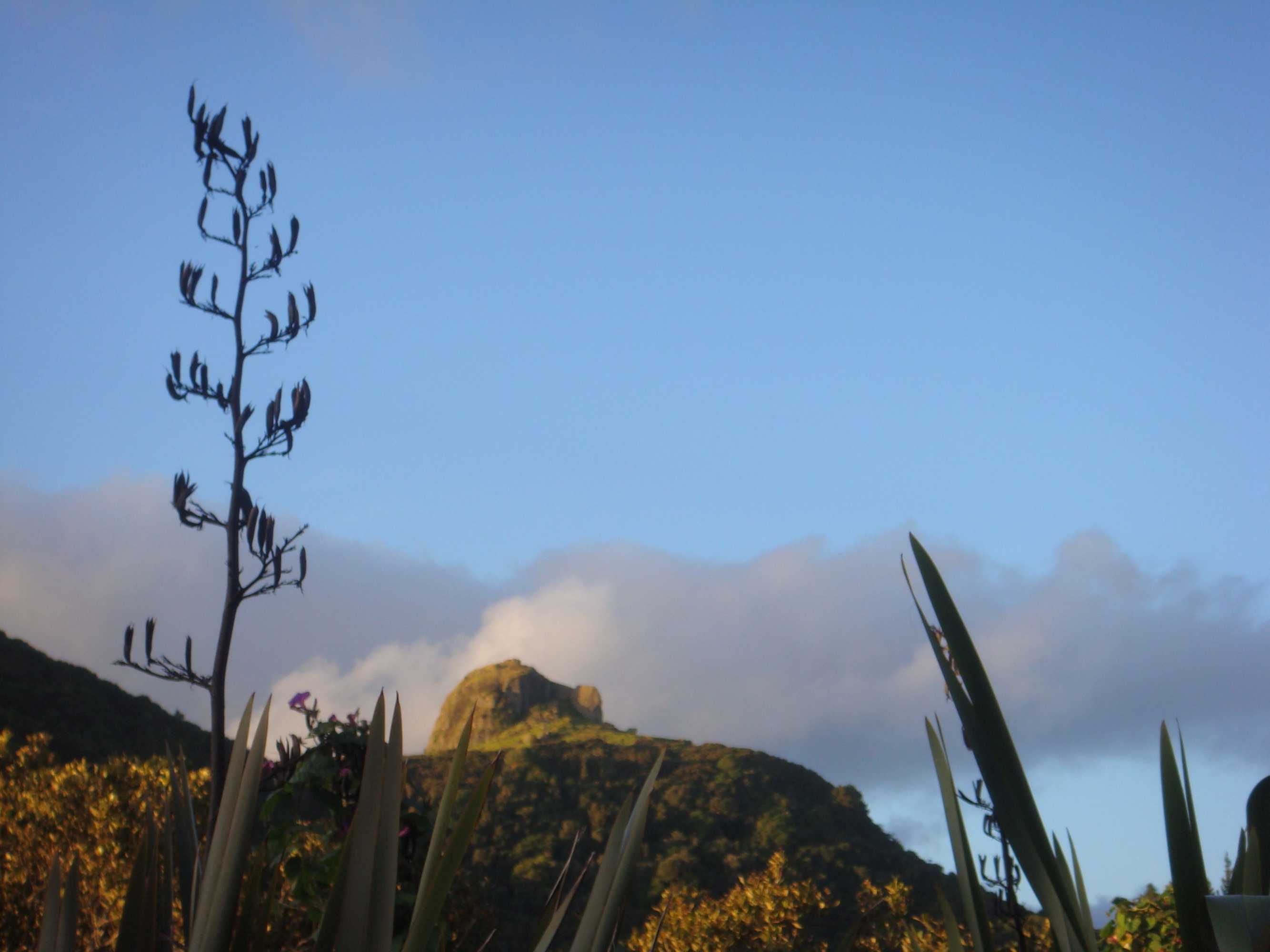 Gift card for La Grange