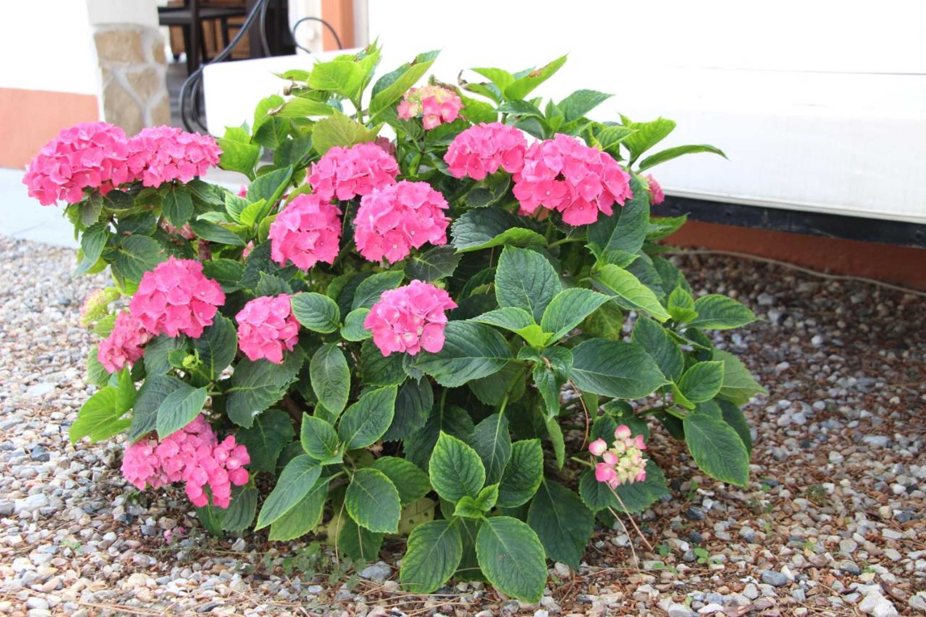 Gift card for Casa o Futuro