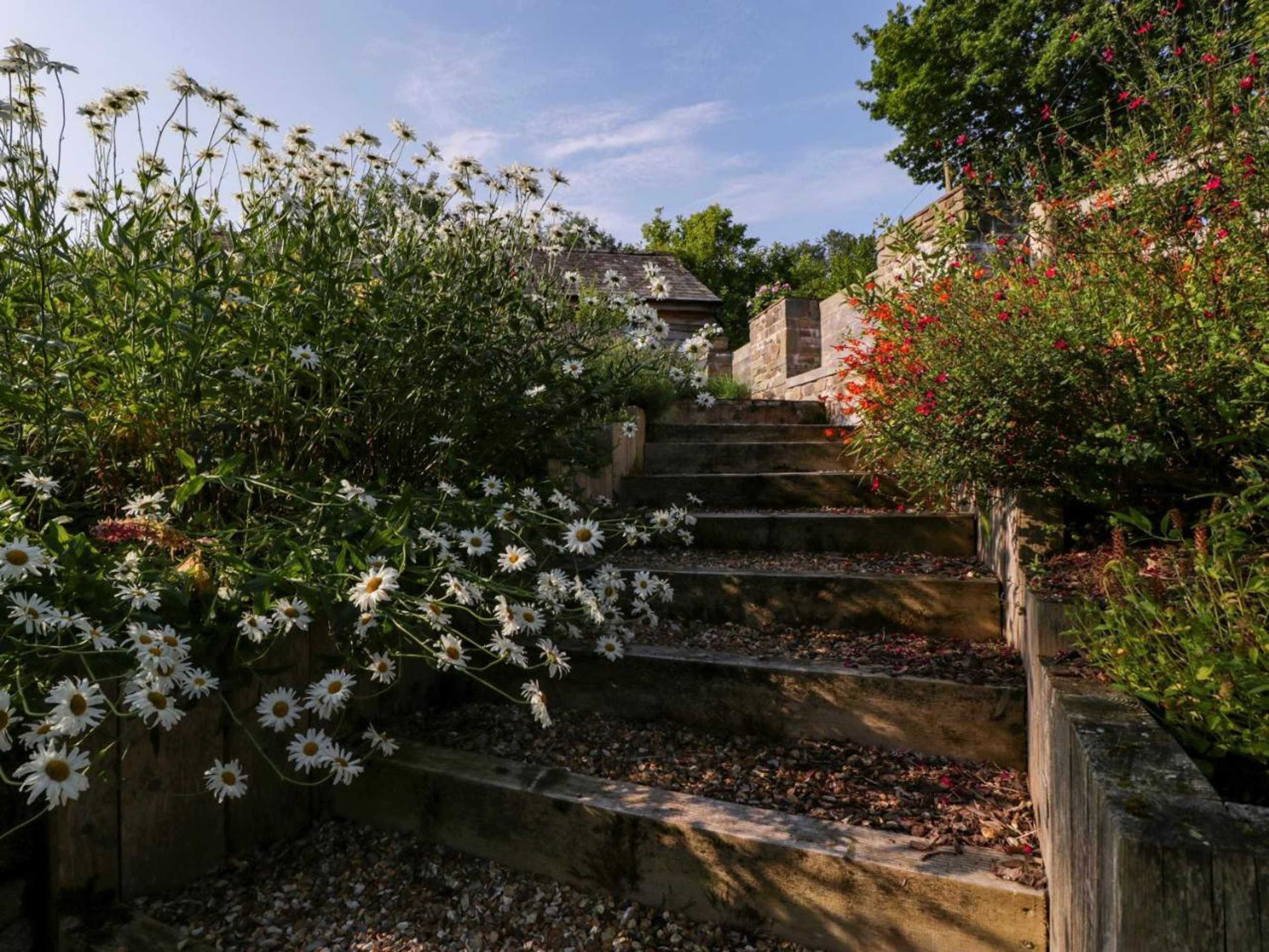 Gift card for Black Cat Bach