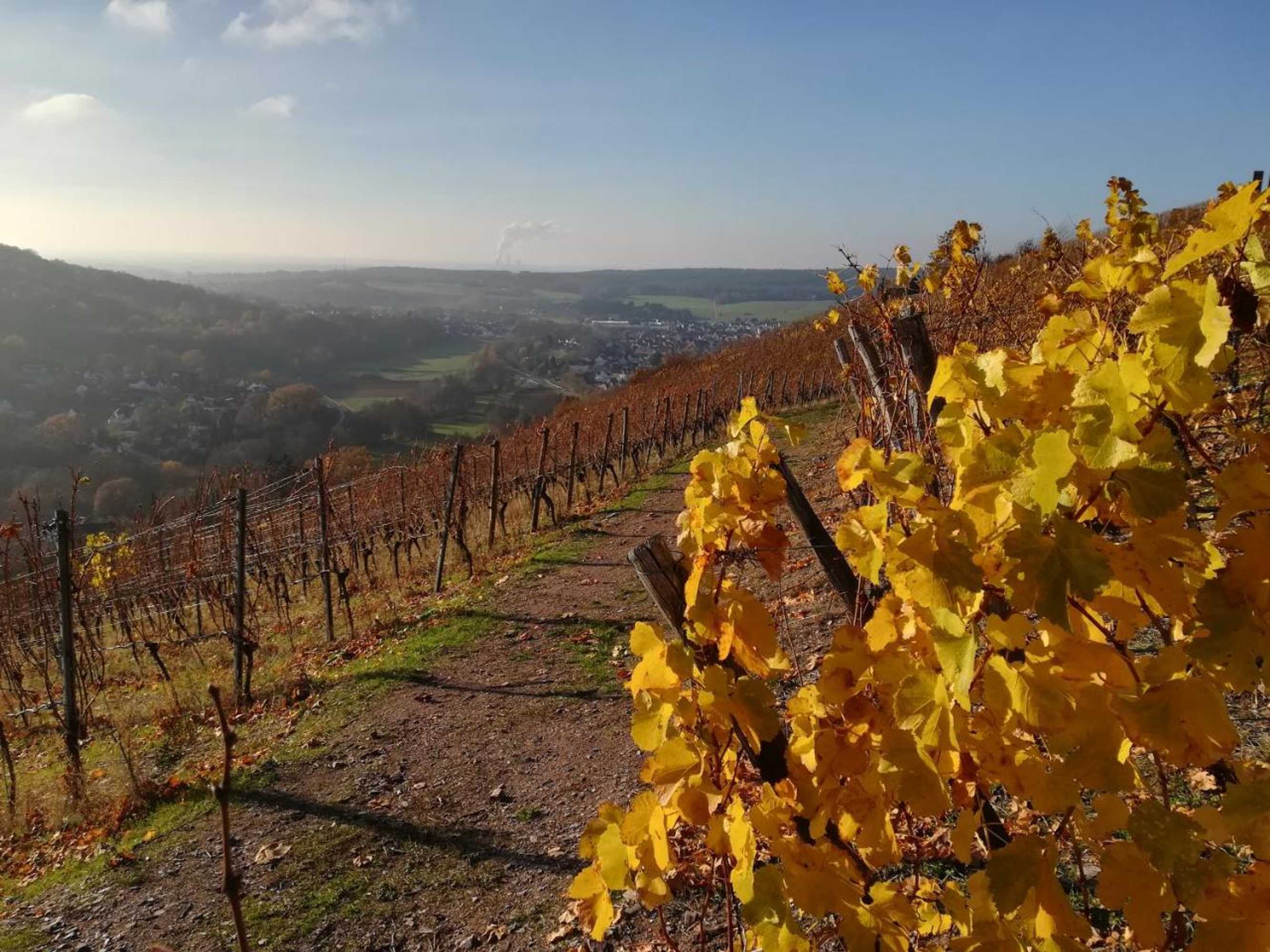 Gift card for Gasthaus Dörsthof