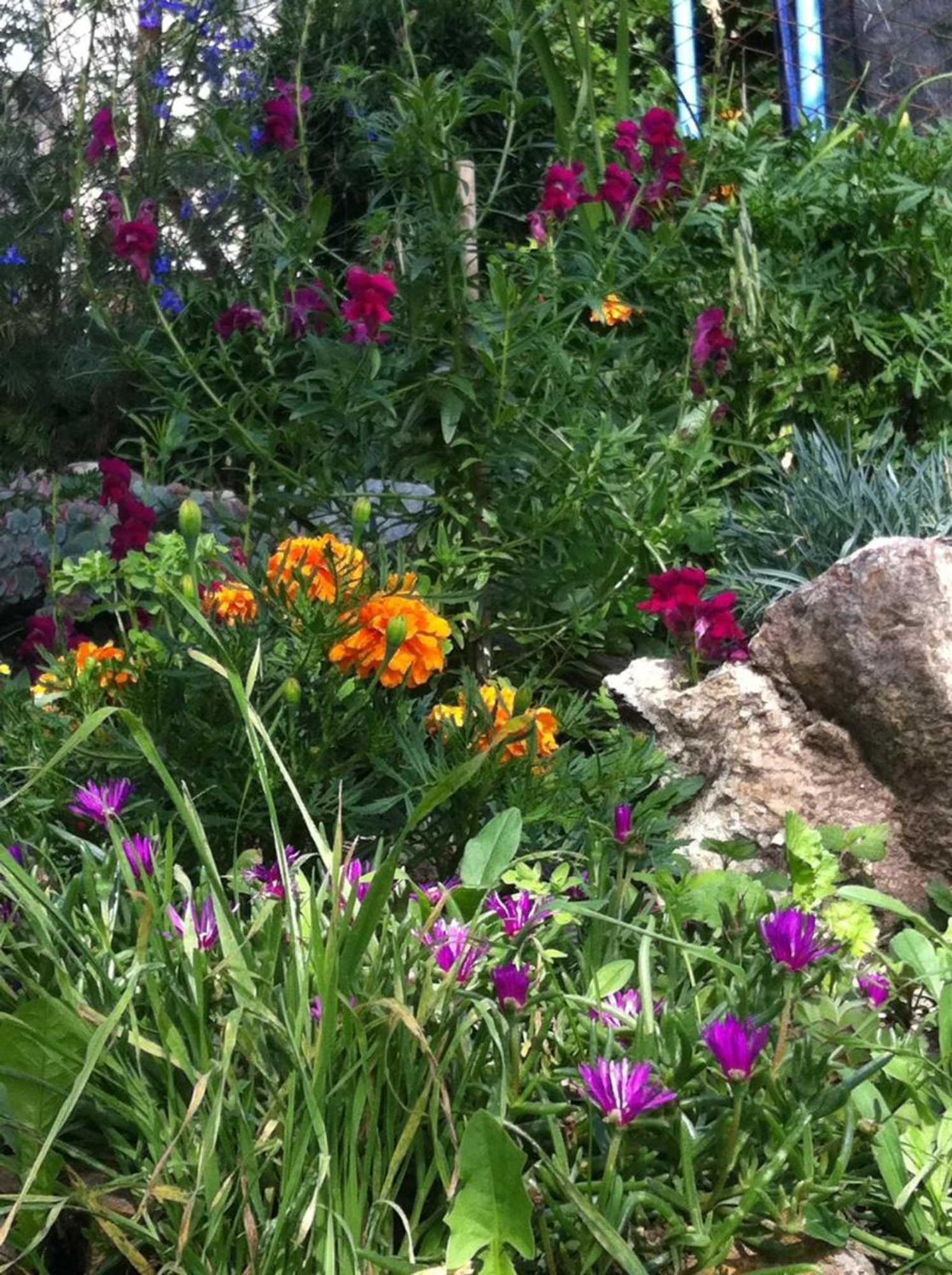 Gift card for B&b Alba Sul Lago