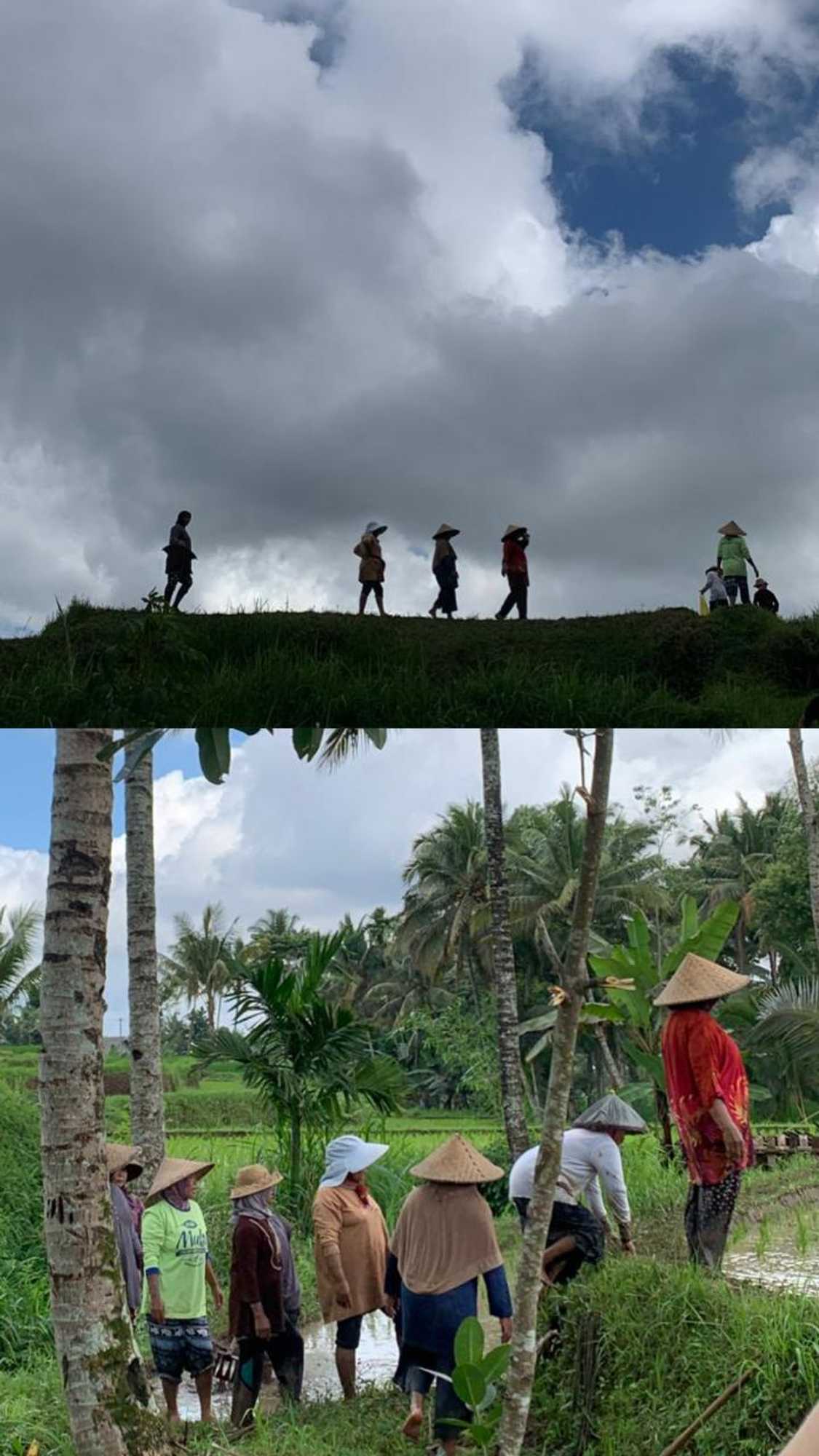 Gift card for Farmer Homestay